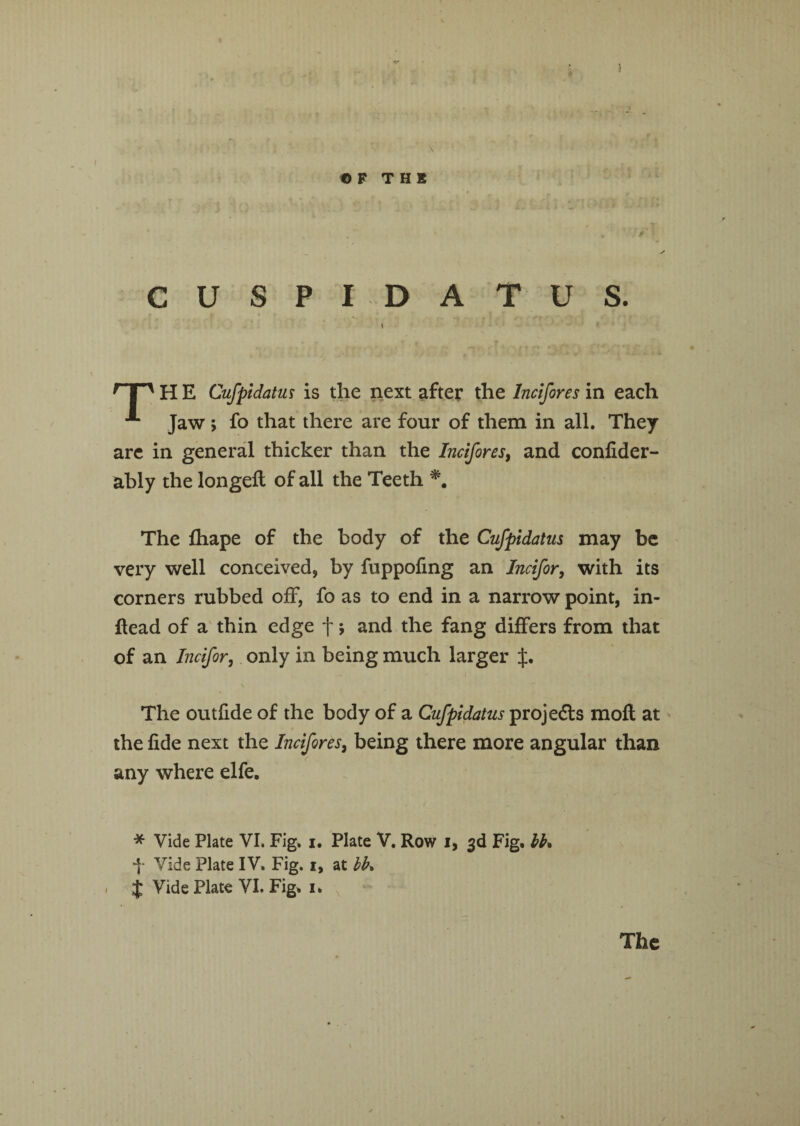 ) \ I • , ' -l e F THE CUSPIDATUS. \ 9 i' H E Cufpidatus is the next after the lncifores in each Jaw; fo that there are four of them in all. They are in general thicker than the lncifores, and confider- ably the longed; of all the Teeth The fhape of the body of the Cufpidatus may be very well conceived, by fuppofing an Incifor, with its corners rubbed off, fo as to end in a narrow point, in- ftead of a thin edge f; and the fang differs from that of an Incifor, only in being much larger The outfide of the body of a Cufpidatus projects mod at the fide next the lncifores, being there more angular than any where elfe. * Vide Plate VI. Fig. i. Plate V. Row i, 3d Fig. bK f Vide Plate IV. Fig. 1, at bfa > $ Vide Plate VI. Fig. 1.