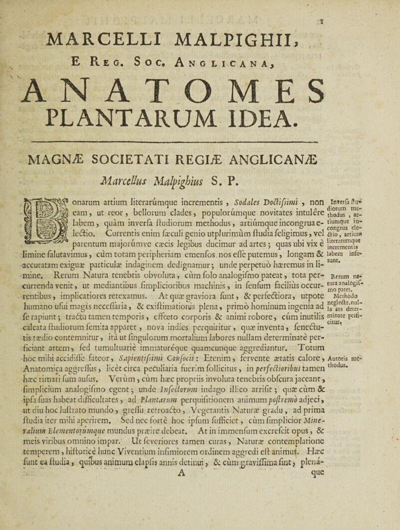 E Reg. Soc, Anglicana, ANATOMES PLANTARUM IDEA. MAGNAE SOCIETATI REGLT ANGLICANiE Marcellus Malpighius S. P. onarum artium literarumque incrementis , Sodales Dottifsimi , non eam, ut reor, bellorum clades, populorumque novitates intulere labem, quam inverfa Ifudiorum methodus, artiumque incongruae- Ieffio. Currentis enim fa?culi genio utplurimum fiudia feligimus, vel parentum majorumve ccecis legibus ducimur aci artes; quas ubi vix e limine falutavimus, cum totam peripheriam emenfos nos ede putemus, longam & accuratam exigua.’ particula? indaginem dedignamur; unde perpetuo hairemus in li¬ mine. Rerum Natura tenebris obvoluta, cum foloanalogifmo pateat, tota per¬ currenda venit, ut mediantibus fimplicioribus machinis, in fenfum facilius occur¬ rentibus, implicatiores retexamus. At qua: graviora funt, & perfectiora, utpote luimano ufui magis neceflaria, & exiftimationjs plena, primo hominum ingenia ad fe rapiunt; tractu tamen temporis, effceto corporis & animi robore, cum inutilis calcata ftudiorum femita apparet, nova indies perquiritur, qua? inventa, fenectu- tis ta:dio contemnitur, ita ut linguiorum mortalium labores nullam determinate per¬ ficiant artem, feci tumultuarie immatureque quamcunque aggrediantur. Totum hoc mihi accidifle fateor, Sapientifsimi Confodi: Etenim, fervente seratis calore. Anatomica aggreffus, licet circa peculiaria fuerim follicitus, in perfectioribus tamen ha?c rimari fum aufus. Verum , cum ha?c propriis involuta tenebris obfcura jaceant, hmplicium analogifmo egent; unde Infectorum indago illico arrifit; quse cum dc ipfa fuas habeat difficultates , ad Plantarum perquifitioncm animum pojlremo adjeci, ut diu hoc Iulirato mundo, greffu retroafto, Vegetantis Natura: gradu , ad prima lludia iter mihi aperirem. Sed nec forte hoc ipfum fufficict, cum fimplicior Mine¬ ralium Elementorumque mundus pra?ire debeat. At in immenfum excrefcit opus, & meis viribus omnino impar. Ut feveriores tamen curas, Natura? contemplatione temperem, hiltorice hunc Viventium infimiorem ordinem aggredi elf animu$. Ha?c funt ea ftudia, quibus animuna elapfis annis detinui, & cum graviilima fint, plena- A ' — - que Inverfa diorum me¬ thodus , ar¬ tiumque in- congrua ele- ftio, artium literarumque incrementis labem infe- tunt. Rerum na* tura analogif¬ mo patet. Methodo negle&2,nul- la ars deter¬ minate pali- citur. Autoris me¬ thodus.