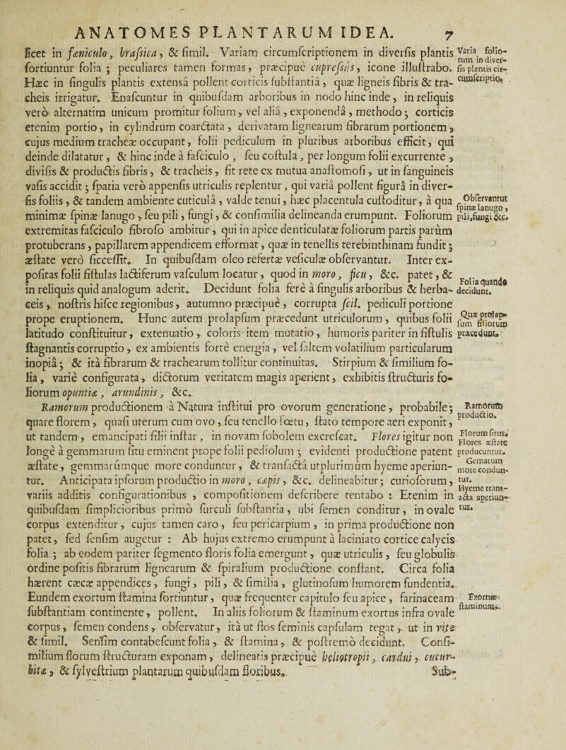 ficet in faniculo, brafsica, & fimil. Variam circumfcriptionem in diverfis plantis fortiuntur folia ; peculiares tamen formas, praecipue cuprcfsus, icone illuftrabo. Hxc in fingulis plantis extensa pollent corticis fubflantia, ejua^ ligneis fibris & tra¬ cheis irrigatur. Enafcuntur in quibufdam arboribus in nodo hinc inde, in reliquis vero alternatira unicum promitur folium, vel alia , exponenda , methodo; corticis etenim portio, in cylindrum coar&ata , derivatam lignearum fibrarum portionem 9 cujus medium tracheae occupant, folii pediculum in pluribus arboribus efficit, qui deinde dilatatur, & hinc inde a fafciculo , feu coffula, per longum folii excurrente , divifis & produdlis fibris, & tracheis, fit rete ex mutua anaftomofi, ut in fanguineis vafis accidit ; fpatia vero appenfis utriculis replentur, qui varia pollent figura in diver- fis foliis , & tandem ambiente cuticula , valde tenui, hasc placentula cuffoditur, a qua minimae {pinae lanugo, feu pili, fungi, & confimilia delineanda erumpunt. Foliorum extremitas fafciculo fibrofo ambitur , qui in apice denticulata foliorum partis parum protuberans, papillarem appendicem efformat, qua? in tenellis terebinthinam fundit ; a?flate vero ficceflir. In quibufdam oleo referta? veficulce obfervantur. Inter ex- pofitas folii fiffulas ladfiferum vafculum locatur, quod in moro, ficu, &c. patet, & in reliquis quid analogum aderit. Decidunt folia fere a fingulis arboribus & herba¬ ceis , noftris hifce regionibus, autumno pra?cipuc , corrupta fcil. pediculi portione prope eruptionem. Hunc autem prolapfum pnecedunt utriculorum , quibus folii latitudo conflituitur, extenuatio , coloris item mutatio, humoris pariter in fiftulis ftagnantiscorruptio, exambientis forte energia, vel faltem volatilium particularum inopia; & ita fibrarum & trachearum tollitur continuitas. Stirpium & fimilium fo¬ lia , varie configurata, di<51orum veritatem magis aperient, exhibitis ftruduris fo¬ liorum Opuntia , arundinis , &c. Ramorum produdlionem a Natura infiitui pro ovorum generatione, probabile; quare florem, quafi uterum cum ovo, feu tenello foetu, ffato tempore aeri exponit, ut tandem , emancipati filii inftar, in novam fobolem excrefcat. Flores igitur non longe a gemmarum fitu eminent prope folii pediolum ; evidenti produflione patent a?flate, gemmarumque more conduntur, & tranfadhi utplurimum hyeme aperiun¬ tur. Anticipata ipforum produtflio in moro , capis, &c. delineabitur; curioforum, variis additis configurationibus , compofitionem deferibere tentabo r Etenim in quibufdam fimplicioribus primo furculi fubflantia, ubi femen conditur, in ovale corpus extenditur, cujus tamen caro , feu pericarpium , in prima produtfiione non patet, fed fenfim augetur : Ab hujus extremo erumpunt a laciniato cortice calycis folia ; ab eodem pariter fegmento floris folia emergunt, qmx utriculis , feu globulis ordine pofitis fibrarum lignearum & fpiralium productione conflant. Circa folia ha?rent ca?ca? appendices , fungi, pili, &fimilia, glutinofum humorem fundentia. Eundem exortum flamina fortiuntur, qua? frequenter capitulo feu apice , farinaceam fubflantiam continente, pollent. In aliis foliorum & flaminum exortus infra ovale corpus, femen condens, obfervatur, ita ut flos feminis capfulam tegat,, ut in rite & limil. Senfim contabefcuntfolia , & flamina, & poflremb decidunt. Confi- milium florum ftru&uram exponam, delineatis pra?cipue btiwtYopii, cardui > cucur¬ bita > & fylveftrium plantarum quibufdam floribus» Sub- Varia folio¬ rum indiver- fis plantis cii- cusnfcnptiQ» . Obfervantm fpinae lanugo, pili,fungi &c» Folia quando decidunt* Qus prolap* fum ntiorunj prsceduat» RamOftflh piodu&io. Florum fitus» Flores reflate producuntur. Gemarum more condun* tur. Hyeme trans- a&a aperiun- tux. Exortae-; flammura^