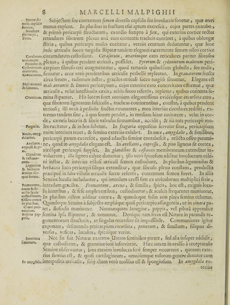 • semendj- Subjedum feu contentum femen diverlis capfulis feu involucris fovetur, qua? uten fovetur. munus explent. In pluribus in fru&um efui aptum excrefcit, cujus partes exarabo » peticatpif3 & primo pericarpii ftruduram, exordio fumpto a ficu, qui exterius cortice tedus ricus. reticulares fibrarum plexus una cum contentis tracheis continet ^ a quibus oblonga? ftiria?, quibus pericarpii moles excitatur, versus centrum deducuntur, qua? hinc inde utriculis fucco turgidis ftipata? tandem eleganti extremitate femen ofleo'cortice Ceraforum circumdatum cuftodiunt. Ceraforum , uvarumque caro reticulares pariter hbrofos U pytoEum & plexus 5 a quibus pendent utriculi, poftidet. Py rorum & Cydoniorum malorum peri- cydoniorum carpium fibrofo reti coagmentatur, quod tartareis quibufdam globulis, feu nodis , Granatorum, firmatur, area; vero pendentibus utriculis perbelle replentur. In granatorum frudu circa femen , radiorum inftar, graciles utriculi fucco turgidi lituantur. Elegans eft &l!moSnt11 aurantn & limonii pericarpium, cujus exterior caro concavitates efformat, qua? utriculis, velut inteftinulis oecis, acido fucco refertis, repletur, quibus contenta fe- Oicurbit*. mina ftipantur. His lucem feret omnium elegantiflima evidenfque cucurbita caro, qu;e fibrarum lignearum falciculis , tracheas continentibus , conflat, a quibus pendent utriculi; illi vero a pediolo frudus emanantes, mox interius circulares redditi, ex¬ tremo tandem fine , a quo femen pendet, in mediam hiant cavitatem , velut in cor¬ de , carneis lacertis & fibris valvulas firmantibus , accidit} & ita tota pericarpii mo- Fragatlar. les excitatur, & in hos folvitur. In fragaria oppofitus fervatur fitus, pericarpium **icis, amyg- cnira interiora tenet, & femina exterius exhibet. In nuce, amygdalis , & fimilibus, dalaium. pericarpii parum excrefcit, quod adaudo femine contabefcit, relido ofleo putami- Av<r ’nc > ciuo^ amygdalis elegans eft. In avellanis, cuprejfu, & pino ligneus fit cortex, P yicefque pericarpii fupplet. In glandibus & caflaneis membraneum extenditur in - Sk caftauea-11 volucrum j ilU ligneo calyce donantur ^ ifiis vero fpinofum additur involucrum echi- ium. ni inftar, & interius villofi utriculi femen cuftodiunt. In pluribus leguminibus & Sc ^herbacea8 herbaceis loco pericarpii filiqua extenditur, quiE fibrofo plexu conflans, produdis ftmiuaiiii- praecipue in faba villofis utriculis fucco refertis, contentum femen fovet. In aliis ‘ Semina loculis includuntur, qui interdum craffi funt cx utriculorum multiplici ferie, Trumentom., interdum graciles. Frumentum, avena, &fimilia, fpicis, hoc eft, exiguis locu- m*iia ^icis fs hiantibus , & fefe amplexantibus, cuftodiuntur, & aculeis frequenter muniuntur, suftediantur, jn pluribus ofteus additur cortex, & quandoque folio uno plura femina edantur. -Oileus cortex e ^ 3n pluribus. Quandoque Semina a fubjedo ampldquc quali pericarpio adurgentia, ut in cinara pa- «5rtet, flofculis muniuntur. Nonnunquam lanugine, pappis, vel pilosa appendice semina pap-femina ipfa ftipantur, & ornantur. Denique tam ferax eft Natura in parandis te¬ gumentorum ftruduris, ut lingulas recenfere fit impoftibile. Communiores igitur exponam, delineando pericarpium cucurbita, pomorum, & fimilium , filiquas di- verfas, veficas, loculos, fpicafque varias. Nec fit fuit Natura: exaratos Uteros feminibus parare, fed alia infuper addidit, qux cuftodirent, & germinationi infervirent. Ha:c autem in avulfo a receptaculo Semine obfervantur, bina etenim involucra fere femper occurrunt , quorum exte¬ rius firmius eft, & quali cartilagineum, omniiimque vaforum genere donatur cum in amygdala, interpofitis utriculis, fubjtdum vero mollius eft & fpongiofum. In amygdala ex¬ terius gola Involucra feminum.