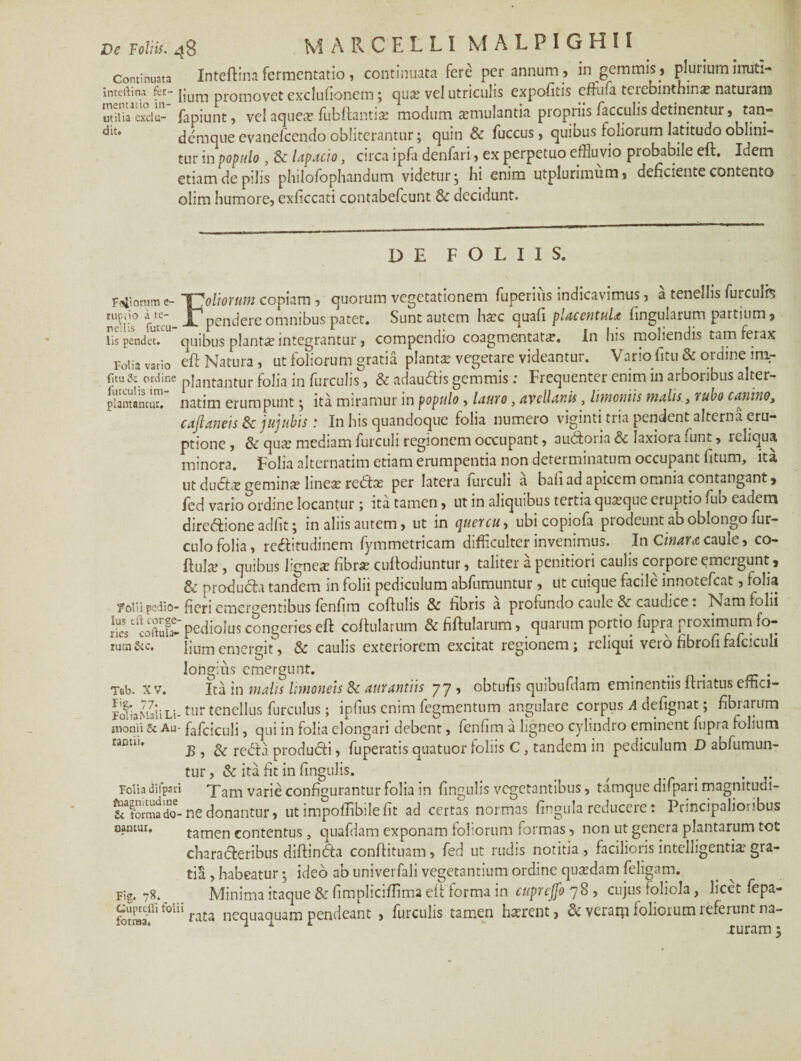 Continuata Inteftinafermentatio , continuata fere per annum , in gemmis, pluriuminuti- inteftina fer- pum promovet exclufionem ; qua? vel utriculis expolitis eftufa terebinthina naturam utimeSiu-' fapiunt, vel aquea? fubftantia? modum aemulantia propriis faeculis detinentur, tan- demque evanelcendo oblitcrantur; quin & fuccus > quibus loliorum latitudo oblini¬ tur in populo , 8c lapacio, circa ipfa denfari, ex perpetuo effluvio probabile eft. Idem etiam de pilis philofophandum videtur^ hi enim utplurimum, deficiente contento olim humore, exficcati contabefcunt & decidunt. de foliis. Florum e- Tmoliorum copiam , quorum vegetationem fuperius indicavimus, a tenellis furculis reUis°'furcu -t* pendere omnibus patet. Sunt autem ha?c quali placentula fingularum partium, lis pendet, quibus planta integrantur, compendio coagmentata. In his moliendis tam ferax Folia vario eft Natura , ut foliorum gratia planta? vegetare videantur. Vario fitu & ordine im- fuu& ordine plantantur folia in furculis, & adaudis gemmis: Frequenter enim in arboribus alter- piantanturl natim erumpunt; ita miramur in populo , lauro , avellanis, limoniis malis, rubo canino, cajlaneis & jujubis : In his quandoque folia numero viginti tria pendent alterna eru¬ ptione, & qua? mediam furculi regionem occupant, audoria & laxiora funt, leliqua minora. Folia alternatim etiam erumpentia non determinatum occupant litum, ita ut duda? gemina? lineis reda? per latera furculi a bali ad apicem omnia contangant, fed vario ordine locantur; ita tamen, ut in aliquibus tertia quasque eruptio fub eadem diredione adiit; in aliis autem, ut in quercu, ubi copiofa prodeunt ab oblongo fur- culo folia, reditudinem fymmetricam difficulter invenimus. In Cinara caule, co- ftula?, quibus lignea? fibra? cuftodiuntur, taliter a penitiori caulis corpoie emeigunt, 8c produda tandem in folii pediculum abfiimuntur , ut cuique facile innotefeat, folia folii pedio- fieri emergentibus fenfim coftulis & fibris a profundo caule & caudice: Nam folii tlSe pediolus congeries eft coftularum & fiftularum, quarum portio fupra proximum fo¬ rum &c. lium emergit, & caulis exteriorem excitat regionem ; reliqui vero fibrofi fafciculi longius emergunt. . Tab. xv. Ita in malis limonels & aurantiis 77’ obtufis quibufdam eminentiis ftnatus effici- FdiaMaiiLi- tur tenellus furculus ; iplius enim fegmentum angulare corpus A delignat; fibiarum monii & Au- fafciculi, qui in folia elongari debent, fenfim a ligneo cylindro eminent fupra folium ractlu B , & reda produdi, fuperatis quatuor foliis C, tandem in pediculum D abfumun- tur, & ita fit in lingulis. _ , Folia difpari Tam varie configurantur folia in lingulis vegetantibus, tamque dilpan magnitudi- &SSSf-ne donantur, utimpoflibilefit ad certas normas lingula reducere: Principalioribus namur, tamen contentus, quafdam exponam foliorum formas, non ut genera plantarum tot charaderibus diftinda conftituam, fed ut rudis notitia , facilioris intelligenti^ gra¬ tia , habeatur • ideo ab univerfali vegetantium ordine quadam feligam. Fig. 78. Minima itaque & fimpliciflima eft forma in cuprejfo 78 , cujus foliola, licet fepa- nequaquam pendeant , furculis tamen ha?rent, & verarp foliorum referunt na-