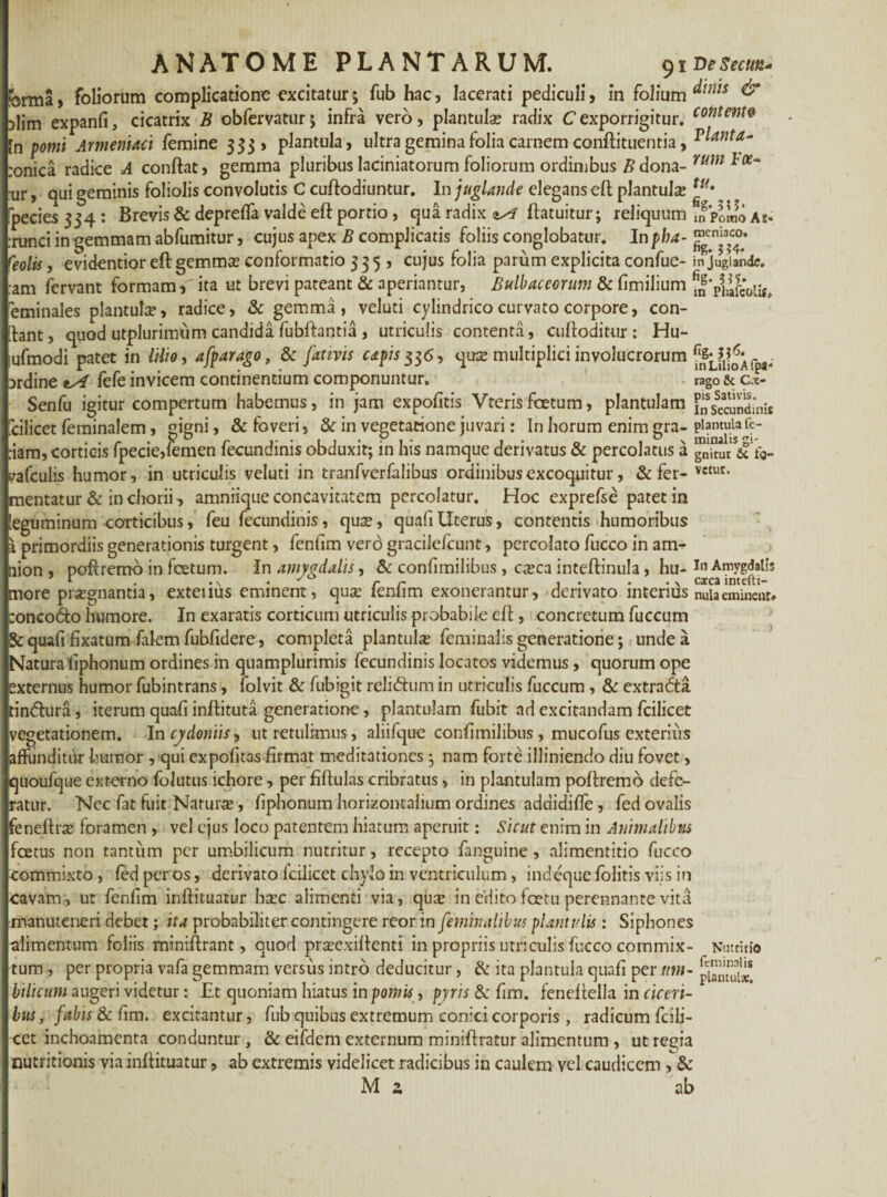 ANATOME PLANTARUM. 91 De Seciin- forma, foliorum complicatione excitatur; fub hac, lacerati pediculi, in folium ^m!S & Dlim expanli, cicatrix B obfervatur; infra vero, plantula? radix Cexporrigitur. content9 [n pomi Armeniaci femine 333, plantula, ultra gemina folia carnem conftituentia, planta~ :onica radice A conftat, gemma pluribus laciniatorum foliorum ordinibus B dona- rum :ur, qui geminis foliolis convolutis C cuftodiuntur. In juglande elegans eft plantula tu' pecies 334: Brevis & deprefla valde eft portio, qua radix ^ ftatuitur; reliquum Pomo At- runci in gemmam abfumitur, cujus apex B complicatis foliis conglobatur. Inpba- eolts, evidentior eft gemma? conformatio 335, cujus folia parum explicita confue- in juglande, am fervant formam, ita ut brevi pateant & aperiantur, Bulbaceorum & fimilium ^fPUfcolit, eminales plantula?, radice, & gemma, veluti cylindrico curvato corpore, con¬ dant, quod utplurimiim candida fubftantia , utriculis contenta, cuftoditur : Hu- ufmodi patet in lilio, afparago, & fativis capis ^6, quse multiplici involucrorum afpa* ardine fefe invicem continentium componuntur. rago & c.£ Senfu igitur compertum habemus, in jam expolitis Vterisfoetum, plantulam insecundinit fcilicet feminalem, gigni, & foveri, & in vegetatione juvari: In horum enim gra- piamuiafe¬ riam, corticis fpecie,iemen fecundinis obduxit; in his namque derivatus & percolatus a gnSi*&*£«- vafculis humor, in utriculis veluti in tranfverfalibus ordinibus excoquitur, & fer- vetut- mentatur& in chorii , amniique concavitatem percolatur. Hoc exprefse patet in leguminum corticibus, feu fecundinis, qux, quafi Uterus, contentis humoribus a primordiis generationis turgent, fenfim verd gracilelcunt, percolato fucco in am¬ nion , poftremo in foetum. In amygdalis, & confnnilibus, c;eca inteftinula, hu- in Amygdalis r . ,x . r r , . . .v catea intefti- more pra?gnantia, extenus eminent, qua? leniim exonerantur, derivato interius nulaeminent» :onco<5to humore. In exaratis corticum utriculis probabile eli, concretum fuccum & quali fixatum falem fubfidere, completa plantula? feminalis generatione; unde a Natura'liphonum ordines in quamplurimis fecundinis locatos videmus, quorum ope externus humor fubintrans, folvit & fubigit relidaim in utriculis fuccum , & extradta inddura, iterum quali inllituta generatione, plantulam fubit ad excitandam fcilicet vegetationem. In cjdoniis, ut retulimus, aliifque conlimilibus , mucofus exterius affunditur humor , qui expolitas firmat meditationes ; nam forte illiniendo diu fovet, quoufque externo folutus ichore, per fiftulas cribratus, in plantulam poftremo defe¬ ratur. Nec fat fuit Natura?, liphonum horizontalium ordines adciidifle , fed ovalis feneltiTe foramen , vel ejus loco patentem hiatum aperuit: Sicut enim in Animalibus foetus non tantum per umbilicum nutritur, recepto fanguine , alimentitio fucco commixto, fed per os, derivato fcilicet chylo in ventriculum , indequefolitis viis in cavam , ut fenfim inftituatur ha?c alimenti via, qute in edito foetu perennante vita manuteneri debet; ita probabiliter contingere reor in feminalibus piantidis : Siphones alimentum foliis miniftrant, quod prceexilfenti in propriis utriculis fucco commix¬ tum , per propria vafa gemmam versus intro deducitur, & ita plantula quafi per um¬ bilicum augeri videtur: Et quoniam hiatus in pomis, pyris &: fim. feneltella in ciceri¬ bus , fabis & fim. excitantur, fub quibus extremum conici corporis , radicum fcili¬ cet inchoamenta conduntur , & eifdem externum miniftratur alimentum , ut regia nutritionis via inlfituatur, ab extremis videlicet radicibus in caulem vel caudicem , 8c M 2. ab _ NuttitiO feminalis plantul#.