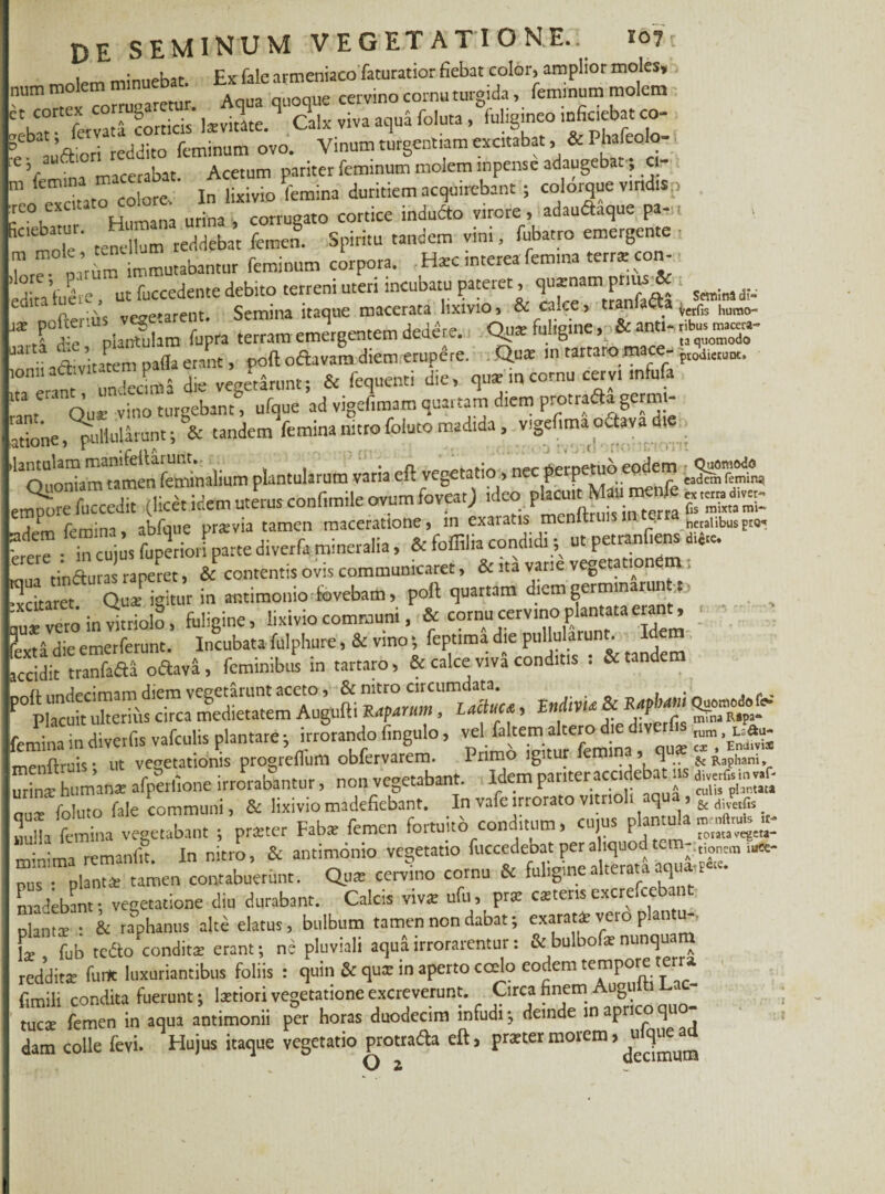 t • Fx fale armeniaco faturatior fiebat color, amplior moles* num molem minuebat. _m,.nil t„mi Ai. feminum molem numm°le ^r^^ocornuturgida, feminum molem ct cortex cor^rew • ^ q q Calx viva aqua foluta , fuligineo inficiebat co- gebovo. Vinum tlrgenriam «ckab*, & ^feolo- eV rn macerabat. Acetum pariter feminum molem mpense adaugebat, ci m femm ' j |ilvlo femina duritiem acquirebant ; colorque virtdisp teo excitato colore, j^ouo ^ mJtQ virore, adaeque pa- , tok' tenellum reddebar femen. Spiritu tandem vini, fubatro emergente • ?'rtrdm immutabantur feminum corpora. , Harc interea femma terre con- editaVuere, ut fuccedente debito terreni uteri incubato pateret, qjnam‘ m*.» « pofterius vegetarent. Semina 1 aa vteempaflaermt, pcft octavam diemrerupdre. Quat m tattato mace- jJu—. ita erant undecima die vegetarunt; & fequenti die, qu* m cornu cervi inua anf Qutc vino turgebant, ufque ad vigefimam quartam diem protrafla germl- atione, piliuii. unt; & tandem femina nitro foiuto madida, vigetur» oSava dwn ^Quoniam tamen feminalium plantularura varia eft vegetatio, nec petpetuo eodem em% (licet idem *L confimile ovum foveat) ideo piacunMa» - g^JJ- ere incuim feriori parte diverfa mineralia, & foffilh, condidi; ut petranfiens «- JZ rinfturai raperet, & contentis ovis communicaret, & ita vane vegetationem i 'xcitaret. Quae igitur in antimonio-fovebam, poft quartam diemgermmarm ,!_. ' _ vero in vitriolo, fuligine, lixivio communi, & cornu cervino plantata erant, Lta die emerferunt. Incubata fulphure, & vino; feptima die pullularunt. Id SS&4, feminibus in tartaro, & calce viva conditis : & tandem ^Pkcu^uheriisdma medietatem Augufti > Ef J UiJfclUlw J | W* -----' ~-7 renftmis •“ «'vegmtionis progrdTum obfervarem. Primi igitur femina, qu* « aenitruis, v„ o , _ vegetabant. Idem pariter accidebat ns diverfisinvaf- c- P T_r-_oniw .cul|S P!lntati irin;p humana? afperlione irrorabantur, non vcgcLuu«m.. • • «• ,A culis ptamata iut foiuto fale communi, & lixivio madefiebant. In vafe irrorato vitnoh aqu ’ & djvetfis riuHa femina vegetabant ; prtter Fab* femen fortuito conditum, cujus plan ula - mintma remanfit. In nitro, & antimonio vegetatio fuccedebat per aliquod tem-. ; iuce- nus ■ planta; tamen contabuerunt. Qua; cervino cornu & fuliginealterataaqua- madebant; vegetatione diu durabant. Calcis viva; ufu , prx casteris excrefceban planta : & raphanus alte elatus, bulbum tamen non dabat; exarat* veio planto-, L , fub tedto condita; erant; ne pluviali aqua irrorarentur: & bulbof* nunqu m redditae furte luxuriantibus foliis : quin & qu^ in aperto codo eodem tempore erra fimili condita fuerunt; laetiori vegetatione excrevierunt. Circa finem B ‘ tuete femen in aqua antimonii per horas duodecim infudi; deinde in aprico quo dam colle fevi. Hujus itaque vegetatio protrada eft, praeter morem, O 2