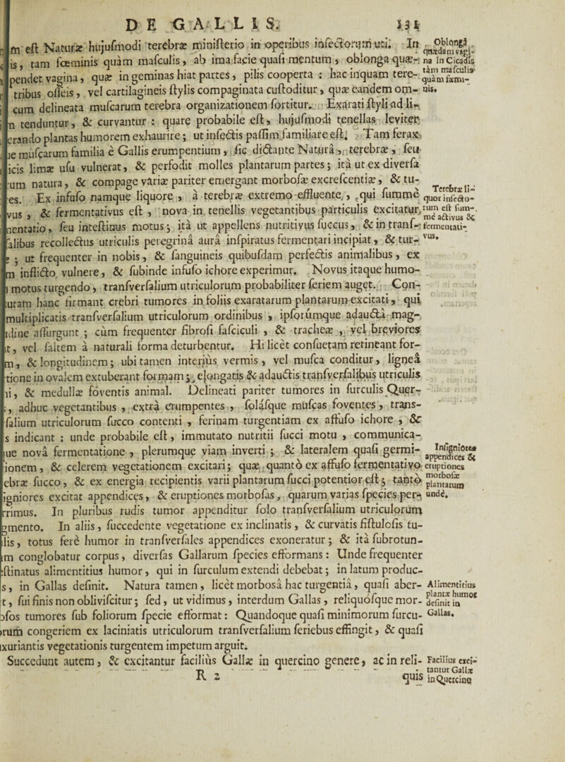 m effc Natur* hujufmocli terebr* minifterio in operibus infectorum vdl In is, tam fceminis quam mafcuiis, ab ima facie quafi mentum , oblonga qus-? na in cicadis pendet vagina, qua; in geminas hiat partes, pilis cooperta : hac inquam tere- tribus olfeis, vel cartilagineis ftylis compaginata cuftoditur, qua; eandem om- u«. cum delineata mufcarum terebra organizationem fortitur. Exarati ftylindlin n tenduntur, & curvantur : quare probabile eft, hujufinodi tenellas leviter erando plantas humorem exhaurire; ut infedis paffim jamiliare eft; Tam ferax-, je mufcarum familia e Gallis erumpentium , iic didlaute Natura , terebra;, feu icis limae ufu vulnerat, & perfodit molles plantarum partes; ita ut ex diverfa um natura, & compage variae pariter emergant morbofa: excrefcenda;, & tu- t , Ex infufo namque liquore , a terebrae extremo eifluente , tqui fumme qu0rinfSo- & fermentativus eft , nova in tenellis vegetantibus particulis excitat^/^m eft fom-. feu inteftinus motus; ita ut appellens nutritivus fuccus, & in tranf-; fermemau- .*A A . /. • /- .... - - • - vus. es. vus J nentauo, Ut uvunv y j # i i Talibus recollectus utriculis peregrina aura infpiratus fermentari incipiat, &tur- , . ut frequenter in nobis, & (anguineis quibufdam perfectis animalibus, ex m5 inflidto vulnere, & fubinde infufo ichore experimur. Novus itaque humo- motus tumendo, tranfverfalium utriculorum probabiliter feriem auget. Con- c* , , • r i . • • uram hanc firmant crebri tumores in foliis exaratarum plantarum excitati, qui multiplicatis tranfverfalium utriculorum ordinibus , ipforumque adauda mag- idine aflurgunt ; cum frequenter fibrofi fafciculi , & trachea; ,, yei breviores vel faitem a naturali forma deturbentur. Hi licet confuetam retineant for- & longitudinem; ubi tamen interius vermis , vel mufea conditur, lignea m n» tione in ovalem extuberant for mam yj ejongatis & adau&is tranfverfalibus utriculis & medulla; foventis animal. Delineati pariter tumores in furculis QuerT adhuc vegetantibus , extra erumpentes , folafque mufeas foventes, trans¬ ilium utriculorum fircco contenti , ferinam turgendam ex aftirfo ichore , &T j indicant ; unde probabile elt, immutato nutritii fucci motu , communica- ue nova fermentatione , plerumque viam inverti ; &: lateralem quafi germi- ionem, & celerem vegetationem excitari; qua: quanto ex affufo lermentativo emptiones ebite fucco, & ex energia recipientis varii plantarum fucci potentior^t ; tanto Joniores excitat appendices, & eruptiones morbofrs, quarum varias fpecies per- und<j. •rimus. In pluribus rudis tumor appenditur folo tranfverfalium utriculorum unento. In aliis , fuccedente vegetatione ex inclinatis, & curvatis fiftulcfis tu- lis, totus fer£ humor in tranfverfiiles appendices exoneratur; & ita fubrotun- m conglobatur corpus, diverfas Gallarum fpecies eftormans: Unde frequenter ftinatus alimcntitius humor, qui in furculum extendi debebat; in latum produc- ;, in Gallas definit. Natura tamen , licet morbosa hac turgentia, quafi aber- Alimentitius fui finis non oblivifeitur; fed, ut vidimus, interdum Gallas, reliquofquemor- d/SS™0* ifos tumores fub foliorum fpecie efformat: Quandoque quafi minimorum furcu- Gallas* tum congeriem ex laciniatis utriculorum tranfverfalium feriebus effingit, & quafi iuriantis vegetationis turgentem impetum arguit. Succedunt autem, & excitantur facilius Galla; in quercino genere, acinreli- Facilius «ei- - r? _ .- — - - - - -tamur Gallae Ix - jn^ticicinq