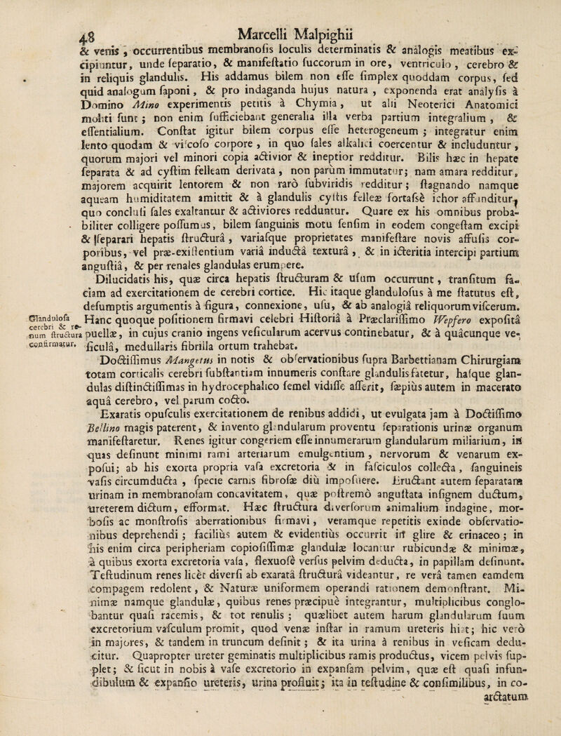 & venis i occurrentibus membranofis loculis determinatis & analogis meatibus ex¬ cipiuntur , unde feparatio, & mamfeflatio fuccorum in ore, ventricoio , cerebro & in reliquis glandulis. His addamus bilem non ede fimplex quoddam corpus, fed quid analogum faponi, & pro indaganda hujus natura , exponenda erat analyfis a Domino Aimo experimentis petitis a Chyrnia, ut alii Neoterici Anatomici moliti fum ; non enim fufEciebant generalia ilia verba partium integralium , & eflentialium. Conflat igitur bilem corpus e(Te hettrogeneum ; integratur enim lento quodam & vicofo corpore , in quo fales alkalici coercentur & includuntur , quorum majori vel minori copia a&ivior & ineptior redditur. Bilis haec in hepate feparata & ad cyflim felleam derivata, non parum immutatur5 nam amara redditur, majorem acquirit lentorem & non raro fubviridis redditur; flsgnando namque aqueam humiditatem amittit & a glandulis cyltis felles fortafse ichor affunditur-^ quo concluii fales exaltantur & aefiviores redduntur. Quare ex his omnibus proba- • biliter colligere poliamus, bilem fanguinis motu fenfim in eodem congeflam excipi 8c jfeparari hepatis flrudtura , variafque proprietates manifeflare novis affufis cor¬ poribus, vel prse-exill entium varia induc&a textura, & in idleritia intercipi partium; anguflia, & per renales glandulas erumpere. Dilucidatis his, quas circa hepatis ftru&uram 8c ufum occurrunt, tranfitum fa¬ ciam ad exercitationem de cerebri cortice. Hic itaque glandulofus a me flatutus efl, defumptis argumentis & figura, connexione, ufu, & ab analogia reliquorumvifcerum. eranduiofa Hanc quoque politionem firmavi celebri Hifloria a Prasclariffimo TVepfero expofita num ftruaura puella, in cujus cranio ingens veheuhrum acervus continebatur, <k a quacunque ve- ceA&rmatur, gcu{^ medullaris fibrilla ortum trahebat. Dodliffimus Mangetm in notis 8c observationibus fupra Barbettianam Chirurgiam totam corticalis cerebri fubflantism innumeris conflare glandulis fatetur, hafque glan¬ dulas diflincliffi mas in hydrocephalico femel vidiffe afferit, faspius autem in macerato aqua cerebro, vel parum codto. Exaratis opufcuhs exercitationem de renibus addidi, ut evulgata jam a Do&iflimo Bellino magis paterent, & invento gfndularum proventu fepirationis urinae organum manifeflaretur. Renes igitur congeriem effeinnumerarum glandularum miliarium, ivi quas definunt minimi rami arteriarum emulgentium , nervorum & venarum ex- pofui; ab his exorta propria vafa excretoria in fafciculos colleda , fanguineis ^vafis circumdudla , fpecie carnis fibrofae diu impofuere. Erudiant sutem feparatan® urinam in membranofam concavitatem, quae poflremo anguilata infignem dudlum, ureterem didlum, efformat. Haec flru&ura d*verforum animalium indagine, mor¬ bo (is ac monflrofis aberrationibus firmavi, veramque repetitis exinde obfervatio- nibus deprehendi ; facilius autem & evidentius occurrit irT glire & erinaceo ; in liis enim circa peripheriam copiofiffimae glandulas locantur rubicundae & minimae, a quibus exorta excretoria vaia, Hexuofe verfus pelvim dedudla, in papillam definunt. Tefludinum renes licet diverfi ab exarata flru&ura videantur, re vera tamen eamdem compagem redolent, & Naturae uniformem operandi rationem demonflrant. Mi¬ nimas namque glandulas, quibus renes praecipue integrantur, multiplicibus conglo¬ bantur quah racemis, & tot renulis ; quaelibet autem harum glandularum fuum excretorium vafculum promit, quod venas inflar in ramum ureteris hi t; hic vero :in majores, & tandem in truncum definit; & ita urina a renibus in veficam dedu¬ citur. Quapropter ureter geminatis multiplicibus ramis produ&us, vicem pelvis fup- plet; & ficut in nobis a vafe excretorio in expanfam pelvim, quas efl quaft infun- dibidum & ^xpanfio ureteris, urina profluit5 ita ia teftudine & confimilibus, in co- ar&atum