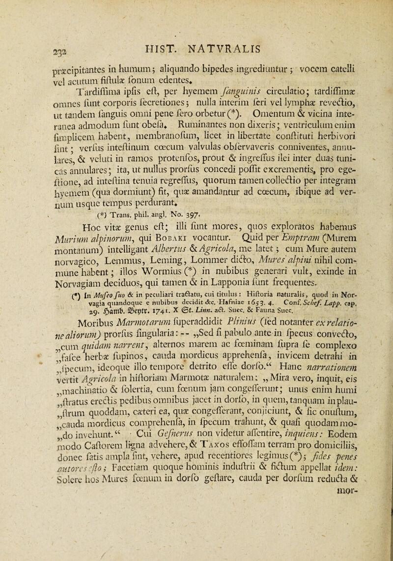 232 pr^cipitantes in humum5 aliquando bipedes ingrediuntur ; vocem catelli vel acutum fiftulx fonum edentes* Tardiffima ipfis eft, per hyemem Janguinis circulatio; tardiffimsc omnes funt corporis fecretiones 5 nulla interim feri vel lymphae revetfho, ut tandem languis omni pene fero orbetur (*). Omentum & vicina inte¬ ranea admodum funt obela* Ruminantes non dixeris; ventriculum enim fimplicem habent, membranofum, licet in libertate conffituti herbivori iint * verfus inteftinum coecum valvulas obfervaveris conniventes, annu¬ lares, & veluti in ramos protenfos, prout & ingreffus ilei inter duas tuni¬ cas annulares; ita, ut nullus prorfus concedi poffit excrementis, pro ege- itione, ad inteftina tenuia regreffus, quorum tamen colledio per integram hyemem (qua dormiunt) fit, quae amandantur ad coecum, ibique ad ver¬ num usque tempus perdurant* (*) Trans, phil. angi. No. 397, Hoc vitae genus eft; illi funt mores, quos exploratos habemus Murium aifinorum, qui Bobaki vocantur. Quid per Emftmm (Murem montanum) intelligant Albertus & Agricola, me latet; cum Mure autem norvagico, Lemmus, Leming, Lommer didro. Mures alfini nihil com¬ mune habent; illos Wormius (*) in nubibus generari vult, exinde in Norvagiam deciduos, qui tamen & in Lapponia funt frequentes. fn Mufeo fio & in peculiari tranatu, cui titulus: Hiftoria naturalis, quod in Nor- vagsa quandoque e nubibus decidit &c. Hafniae 1653. 4* Conf. Scbef Lapp. cap. 29. $am&. 25eptr. 1741. x @t- Linn* a£h Suec. & Fauna Suec. Moribus Marmotaram fijperaddidit Plinius (l ed notanter ex relatio¬ ne aliorum) prorfus Angularia„Sed fi pabulo ante in fipecus convedo, „cum quidam narrent, alternos marem ac fceminam fupra fe complexo ”fafce nerbac fupinos, cauda mordicus apprehenia, invicem detrahi in Jbecum, ideoque illo tempore detrito efife dorfo.“ Hanc narrationem vertit Agricola in hiftoriam Marmotar naturalem: „ Mira vero, inquit, eis ,,machinatio & folertia, cum foenum jam congeffcrunt; unus enim humi ,ftratus eredis pedibus omnibus jacet in dorfio, in quem, tanquam inplau- ”flrum quoddam, ceteri ea, qua: congefferant, conjiciunt, & fic onufium, 'cauda mordicus comprehenfa, in fpecum trahunt, & quafi quodam mo- ”do invehunt.“ • Cui Gefnerus non videtur affcntire, inquietis: Eodem modo Cafiorem ligna advehere, & Taxos effoffam terram pro domiciliis, donec fatis ampla fint, vehere, apud recentiores legimus (*); fides genes aut ores e flo; Facetiam quoque hominis indufirii & fidum appellat idem: Solere hos Mures foenum in dorfo geflare, cauda per dorfum reduda & mor-