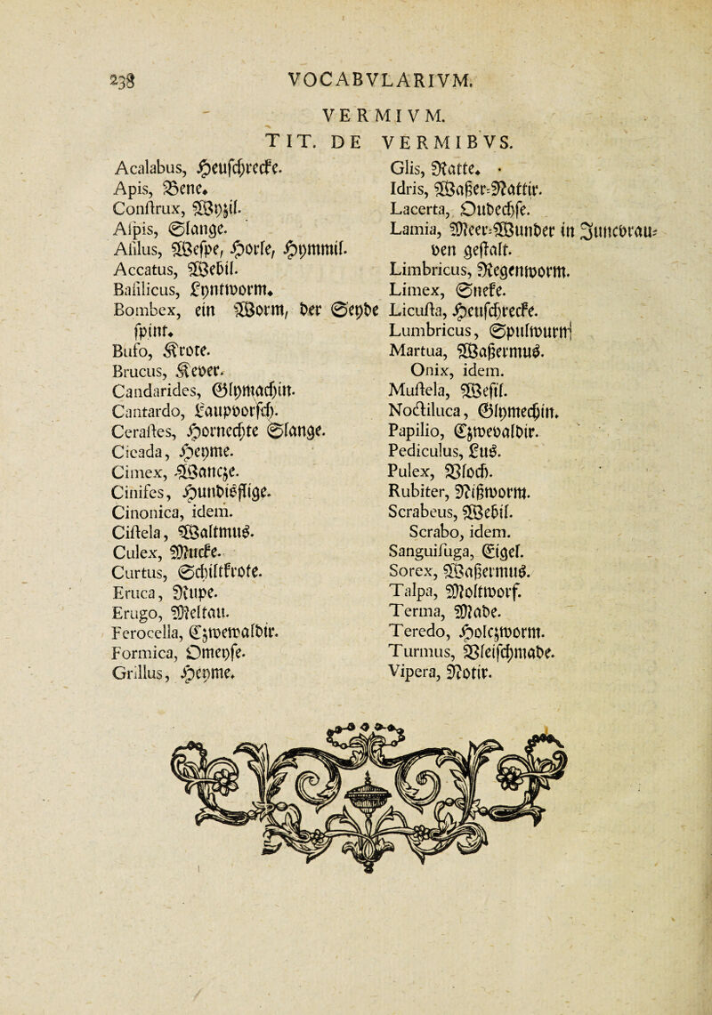 ^38 VOCABVLARIVM. VER T T IT. DE Acalabus, Jpeufc^rccfc. Apis, SBene* Conftrux, SBp^tl. Alpis, @Iange. Aliius, SQefpe, Jporfe, Jppmmif. Accatus, SSJebtl. Bafilicus, gpntroornu Bombex, etn SBqfw, fcer 0epbe fpinu Bufo, ^frote. Brucus, ^CPer. Candarides, 0[ptt^d)m. Cantardo, Faupporfd). Cerartes, Jporncc^te 0fange. Cicada, $epme. Cimex, #3at1Cje. Cinifes, jpunt>t^fTtge. Cinonica, idem. Ciftela, 5QaItmu^ Culex, Sftttcfe. Curtus, 0d)tftfrofe. Eruca, 3tupC- Erugo, ?0?dfaiE Ferocella, QLjtpetrcdt>it\ Formica, Drnepfe. Grillus, ipepnie* [JVM. /ermib' vs. Glis, 0tatte^ • Idris, SS?a^er^attu4. Lacerta, Ont>ed)fe. Lamia, Sfteei^unbet4 in 3>twcPratF Pen geflalf. Limbricus, 5Jeg<mt>omt. Limex, 0nefe. Licufta, JpCufcfitecPc. Lumbricus, 0piiftt>urir( Martua, SJafjermu^. Onix, idem. Muftela, ®eft(. Noctiluca, ©Ipmedjm. Papilio, Cjroe&albtr. Pediculus, £u$. Pulex, 25focf). Rubiter, 9?ij3tt>ont|. Scrabeus, SBe&lI. Serabo, idem. Sanguifuga, (£igef. Sorex, SBagermuS. Talpa, SJloittuorf. Terma, ?D?abe. Teredo, J?)o[CpOrm. Turmus, a3feifd)niabe. Vipera, fftotir.