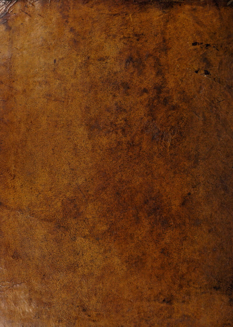 No text description is available for this image