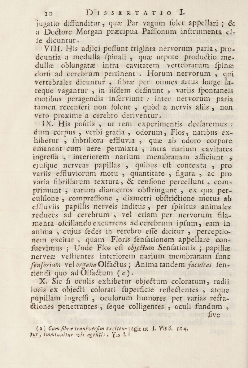 jugatio diffunditur, quas Par vagum folet appellari ; & a Dcdtore Morgan praecipua Paffionum inffrumenta el¬ le dicuntur. Vili. His adjici poffunt triginta nervorum paria, pro¬ deuntia a medulla fpinali , quas nipote produCtio me¬ dullae oblongatae intra cavitatem vertebrarum fpinas dor/i ad cerebrum pertinent . Horum nervorum , qui vertebrales dicuntur , fibrae per omnes artus longe Ia- teque vagantur , in iifdem delinunt , variis Ipontaneis motibus peragendis inferviunt ; inter nervorum paria tamen recente ri non Iolen t , quòd a nervis aliis , non. vero proxime a cerebro deriventur. IX. His politis , ut rem experimentis declaremus ; dum corpus , verbi gratia , odorum, Flos, naribus ex¬ hibetur , fubtiliora effluvia , qua: ab odoro corpore emanant cum aere permixta , intra narium cavitates ingrefffa , interiorem narium membranam afficiunt , ejufque nerveas papillas , quibus eff contexta , pro variis effluviorum motu , quantitate , figura , ac pro varia fibrillarum textura, & tendone percellunt, com¬ primunt , earum diametros obftringunt , ex qua per- culfione , compreffione , diametri obftrictione motus ab effluviis papillis nerveis inditus , per Ipiritus animales reduces ad cerebrum , vel etiam per nervorum fila¬ menta ofcillando excurrens ad cerebrum ipfum, eam in anima , cujus fedes in cerebro effe dicitur , perceptio¬ nem excitat , quam Floris fenfationem appellare con¬ file vim us ; Unde Flos eli: ohjeàìum Senfationis ; papillas nervea: veftientes interiorem narium membranam fiunt fenforium vel organa OlfaCtus ; Anima tandem facultas fem tiendi quo ad OlfaCtum (0). X. Sic fi oculis exhibetur objeCtum coloratum, radii lucis ex objecti colorati fiuperficie refledtentes , atque pupillam ingreffi , oculorum humores per varias refra¬ ctiones penetrantes , feque colligentes , oculi fundum , five ( a ) Cum fibra tranfverfim exciten~ j agit ut I. Vii 8, ut 4» tur, imminuitur vis agentis . yis Ll