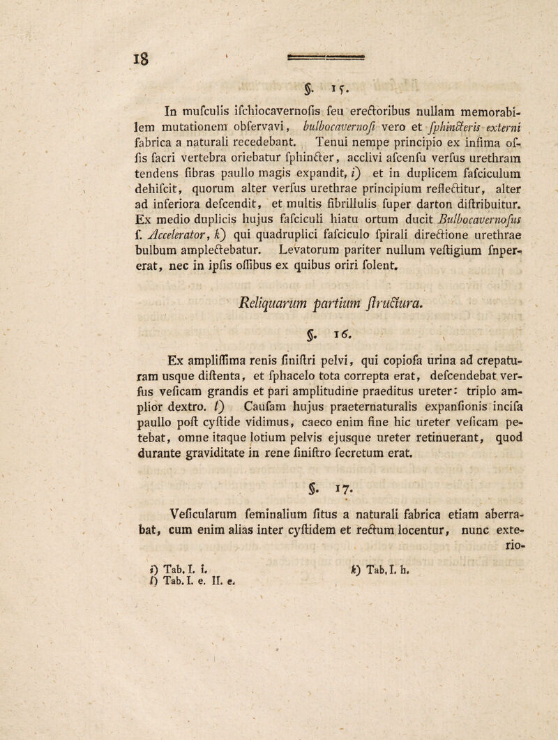 t Ig 1 .. '1 ■ 1 §• .. ' % ' /V ' In mufculis ifcliiocavernofis feu ereftoribus nullam memorabi¬ lem mutationem obfervavi, bulbocavernofi vero et fphmffieris externi fabrica a naturali recedebant. Tenui nempe principio ex infima of¬ fis facri vertebra oriebatur fphinfter, acclivi afcenfu verfus urethram tendens fibras paullo magis expandit, i) et in duplicem fafciculum dehifcit, quorum alter verfus urethrae principium refleftitur, alter ad inferiora defcendit, et multis fibrillulis fuper darton diftribuitur. Ex medio duplicis hujus fafciculi hiatu ortum ducit Bulbocavernofus f. Accelerator, £) qui quadruplici fafciculo fpirali direftione urethrae bulbum ampleftebatur. Levatorum pariter nullum veftigium fnper- erat, nec in ipfis oflibus ex quibus oriri folent. ( v • ’ ' •<' ' f ' ■ r ■ - ■ \ v t * Reliquarum partium flruaura. i - \ • i. ' * J • ’ . . -■* r ' v. ’4 ’ '4. ■ , \ ' * §. 16. . ' / Ex ampliflima renis finiftri pelvi, qui copiofa urina ad crepatu- ram usque diftenta, et fphacelo tota correpta erat, defcendebat ver¬ fus veficam grandis et pari amplitudine praeditus ureter: triplo am¬ plior dextro. /) Caufam hujus praeternaturalis expanfionis incifa paullo poft cyftide vidimus, caeco enim fine hic ureter veficam pe¬ tebat, omne itaque lotium pelvis ejusque ureter retinuerant, quod durante graviditate in rene finiftro fecretum erat. * v ' '■ ■ 1'v •; ‘ ' v; ' j ‘ \ ' §. 17. * / * 1* . ^ •* Veficularum feminalium fitus a naturali fabrica etiam aberra¬ bat, cum enim alias inter cyftidem et reftum locentur, nunc exte- rio- i) Tab. I. i. *) Tab, I. h. I) Tab. I. e. II. e.