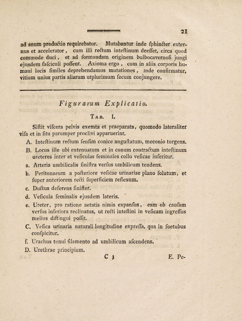 ad anum produftio requirebatur. Mutabantur inde fphinfter exter¬ nus et accelerator, cum illi reftum inteftinum deeflet, circa quod commode duci, et ad formandam originem bulbocavernofi jungi ejusdem fafciculi poffent. Axioma ergo , cum in aliis corporis hu¬ mani locis fimiles deprehendamus mutationes , inde confirmatur, vitium unius partis aliarum utplurimum fecum conjungere. \ ' 5 - ; ■ - 1 ■ / ; ■ ■ \ ‘ 1 • Fi gur arum Explicatio. t ... 1 t , ' V ■ - v Tab. I. Siftit vifcera pelvis exemta et praeparata, quomodo lateraliter vifa et in fitu parumper proclivi apparuerint. A. Inteftinum rectum fenfim conice anguftatum, meconio turgens. B. Locus ille ubi extenuatum et in conum contraftum inteftinum ureteres inter et veficulas feminales collo veficae inferitur. a. Arteria umbilicalis finiftra verfus umbilicum tendens. b. Peritonaeum a pofteriore veficae urinariae plano foiutum, et fuper anteriorem refti fuperficiem reflexum. c. Duftus deferens finifter. d. Veficula feminalis eiusdem lateris. / e. Ureter, pro ratione aetatis nimis expanfus, eam ob caufam verfus inferiora reclinatus, ut refti inteftini in veficam ingreffus melius diftingui polfft. C. Vefica urinaria naturali longitudine expreffa, qua in foetubus confpicitur. f. Urachus tenui filamento ad umbilicum afcendens. D. Urethrae principium. C 3 E. Pe-