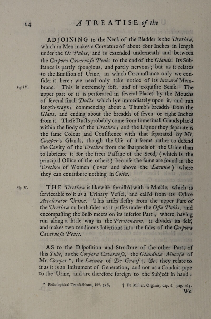 ADJOINING to the Neck of the Bladder is the 'Urethra, which in Men makes a Curvature of about four Inches in length under the Os Pubis, and is extended underneath and between the Corpora Caver no fa \Penis to the end of the Glands. Its Sub- fiance is partly fpongious, and partly nervous; but as it relates to the Emiflionof Urine, in which Circumftance only we con- fider it here; we need only take notice of its inward Mem- rig iv. brane. This is extremely foft, and' of exquifite Senfe. The upper part of it is perforated in feveral Places by the Mouths of feveral fmall Dulls which lye immediately upon it, and run length-ways; commencing about a Thumb’s breadth from the Gians, and ending about the breadth of feven or eight Inches from it. Thefe Dudtsprobably come from fome fmall Glands plac’d within the Body of the Urethra ; and the Liquor they feparate is the fame Colour and Confidence with that feparated by Mr. Cowpers Glands, though the Ufe of it feems rather to defend the Cavity of the Urethra from the fharpnefs of the Urine than to lubricate it for the freer Paffage of the Seed, ( which is the principal Office of the others) becaufe the fame are found in the Urethra of Women (over and above the Lacuna) where they can contribute nothing in Coitu. Fig. v. THE Urethra is likewife furniffi’d with a Mufcle, which is ferviceable to it as a Urinary Veffel, and call’d from its Office Accelerator Urina. This arifes fleffiy from the upper Part of the Urethra on both fides as it pafles under the OJfa Pubis, and encompaffing the Bulb meets on its inferior Part ; where having run along a little way in the Peritonaum, it divides its fel£ and makes two tendinous Infertions into the fides of the Corpora Caver no fa Penis. A S to the Difpofition and Strudlure of the other Parts of this Tube, as the Corpora Cavernofi, the Glandula Mucofe of Mr. Covcper *, the Lacuna of De Graaf f, &c. they relate to it as it is an Indrument of Generation, and not as a Conduit-pipe to the Urine, and are therefore foreign to the Subject in hand : * Philofophical Tranfa&ions, NQ. 258. •f De Mulier. Organis, cap. 6. pag. 163. We
