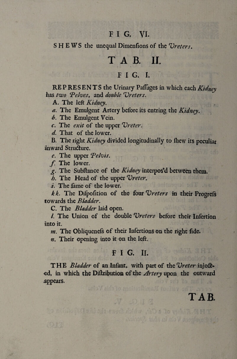 SHEWS the unequal Dimenfions of the 'Ureters. TAB. II. FIG. I. REP RESEN TS the Urinary Paflages in which each Kidney has two ‘Pelves, and double ‘Ureters. A. The left Kidney. a. The Emulgent Artery before its entring the Kidney. b. The Emulgent Vein. c. The exit of the upper Ureter. d. That of the lower. B. The right Kidney divided longitudinally to fhew its peculiar Inward Structure. e. The upper Pelvis. f. The lower. g. The Subftance of the Kidney interpos’d between them. h. The Head of the upper Ureter. i. The fame of the lower. kk. The Difpofition of the four Ureters in their Progrefs towards the Bladder. C. The Bladder laid open. /. The Union of the double Ureters before their Infertion into it. m. The Obliquenefs of their Infertions on the right fide. n. Their opening into it on the left. F I G. II. THE Bladder of an Infant, with part of the Ureter inject¬ ed, in which the Diftribution of the Artery upon the outward .appears.