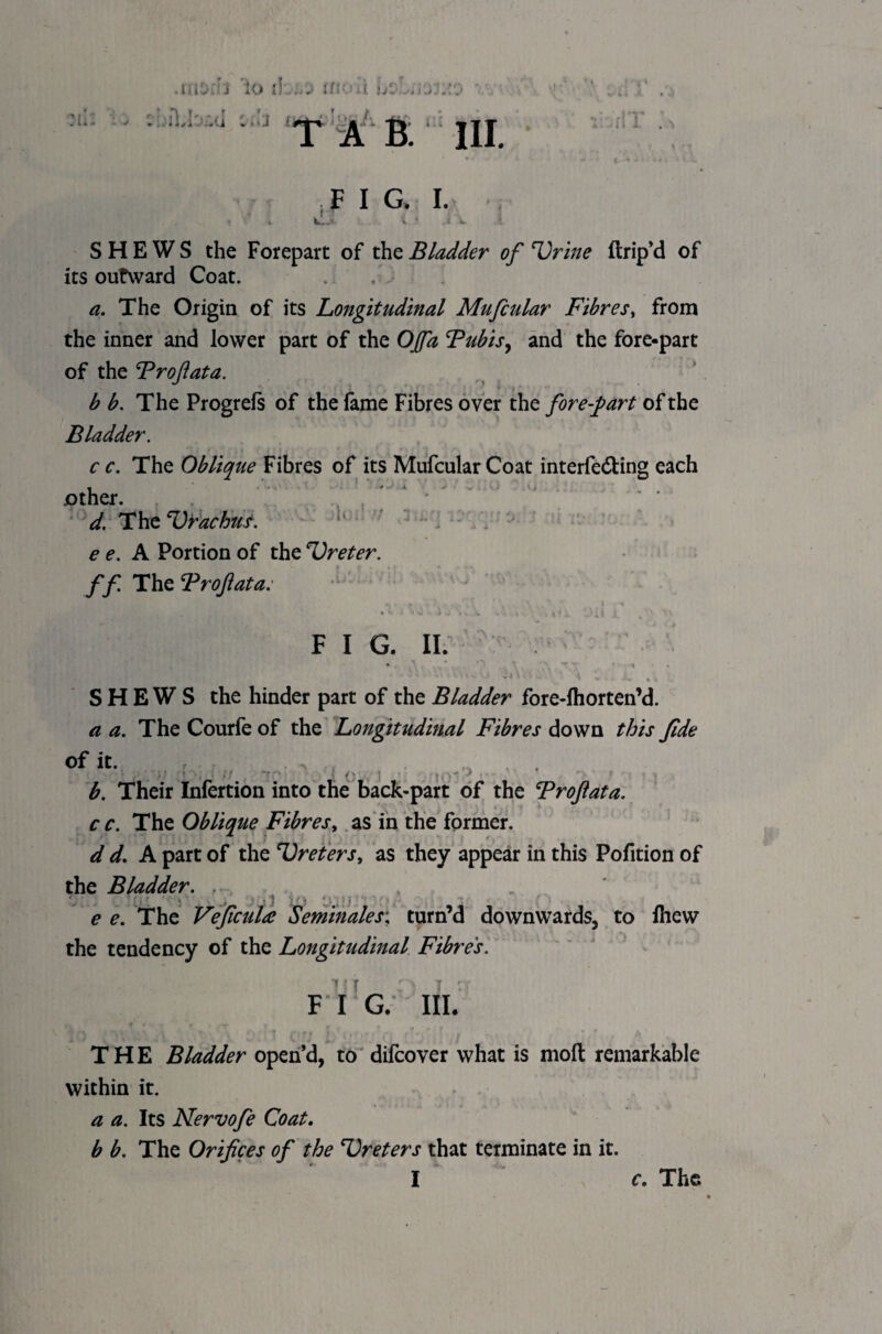 'li. . I • i,. i lo i): . 'j t!': ■> iA s iU ul »di nMJfiaA FIG. I. 4 W--* «• ' SHEWS the Forepart of the Bladder of Urine Itrip’d of its outward Coat. a. The Origin of its Longitudinal Mufcular Fibres, from the inner and lower part of the OJ/a Tubis, and the fore-part of the Trofiata. i fj t • r p ^ ft t. ’ » * * • • •• f-- * ■ ** r b b. The Progrels of the fame Fibres over the fore-fart of the Bladder. c c. The Oblique Fibres of its Mufcular Coat interfering each - . ^ -A * • w vJ other. d. The Urachus, e e. A Portion of the Ureter, f f The Brofiata: .. , r> . ,a, ' ' is • • . * v « w • • v -.1 iit. .'iir F I G. II. SHEWS the hinder part of the Bladder fore-lhorten’d. a a. The Courfe of the Longitudinal Fibres down this fide no of it. ; • . < •, • •• • • • ; <' . ; b. Their Infertion into the back-part of the Brofiata. c c. The Oblique Fibres, as in the former. d d. A part of the Ureters, as they appear in this Pofition of the Bladder. , e e. The Veficula Seminales; turn’d downwards, to fhew the tendency of the Longitudinal Fibres. F I G. III. THE Bladder open’d, to difcover what is molt remarkable within it. a a. Its Nervofe Coat. b b. The Orifices of the Ureters that terminate in it. I f. The