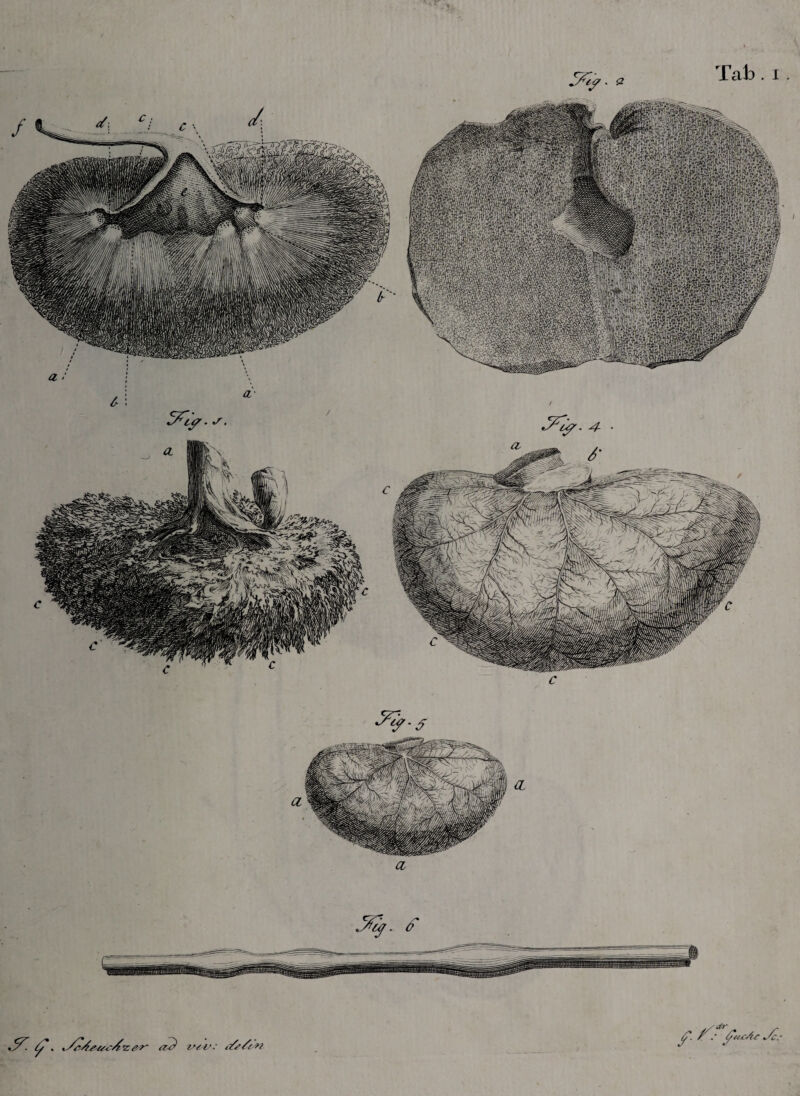 <2 a £ ^-zer- as) ?Sf. is: e/s//si