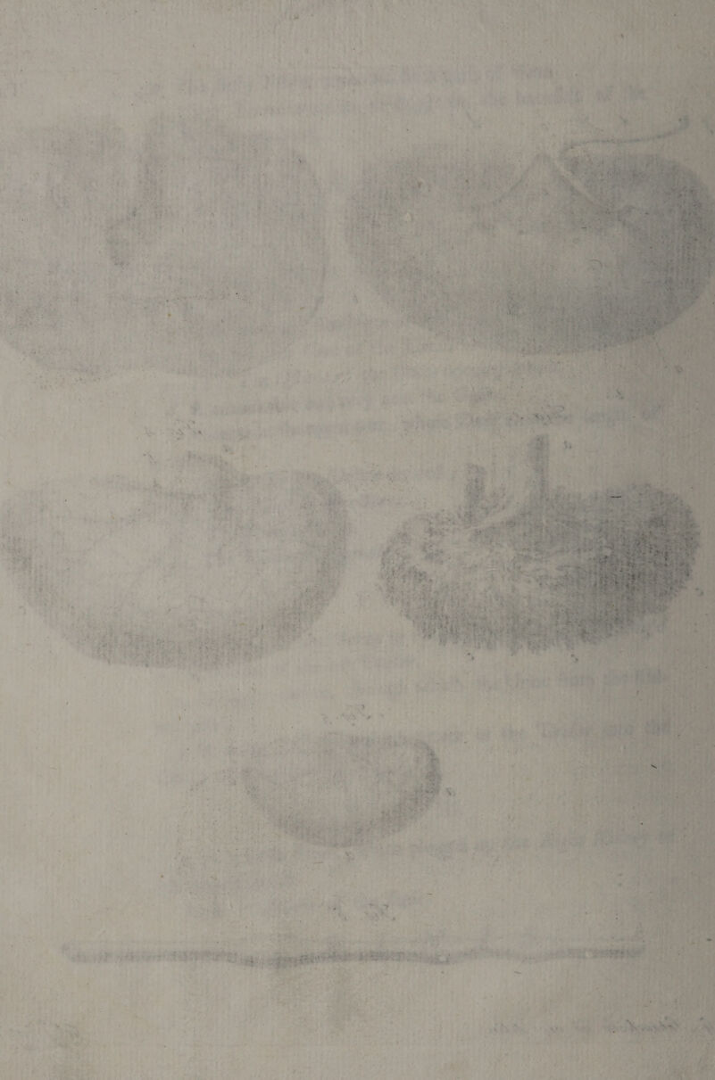  ■ i ✓ * . • y - ■ • . ' • v> ' • . ■ • V ' ' ’ :■ •' ;-.y- ' ..