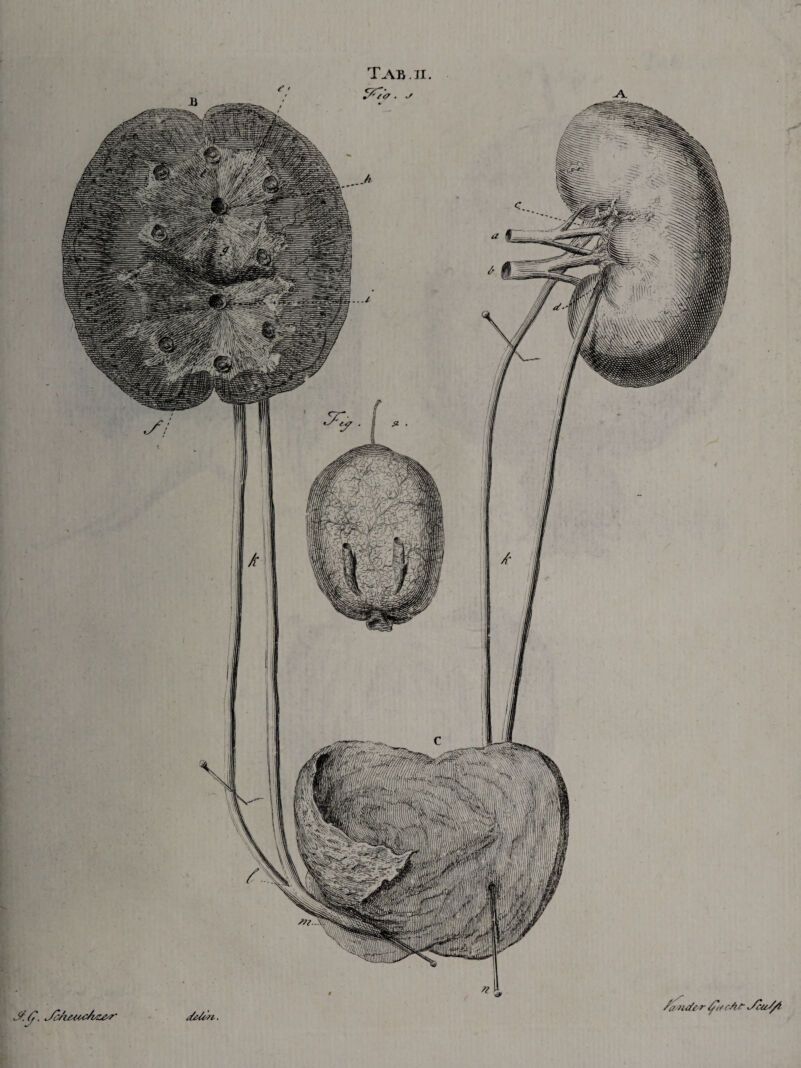 /cruder rA r i/cccA/t /.{/. Jc/uecc/rz&r ide/cn