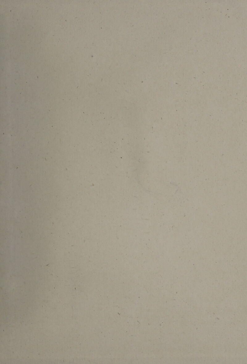 / \ \ ( / / • \ J \ I / \ \ / ' \ / A I • \ ' % / i ' I ’ / < \ ' / • \ N N V / *