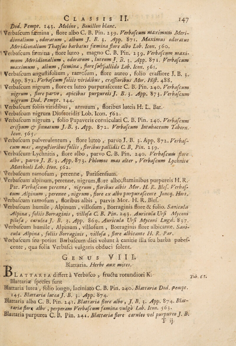 Pempt. 143. Molene, Bouillon blanc. Verbafcum femina , flore albo C. B. Pin. 239. Verbafcum maxitntifh Meri- dionalium ^ odoratum , album J. B. 3. App. 871. Maximus odoratus Meridionalium Thapfus barbatus foemina flore albo Lob, Icon. j 60. Verbafcum faemina 3 flore luteo * magno C. B. Pin, 139. Verbafcum maxi¬ mum Meridionalium , odoratum , luteum T. jj. 3. 871, Verbafcum maximum , album , foemina , flore fub pallido Lob. j^r. Verbafcum anguftifolium , ramofum , flore aureo , folio craffiore J. B. y0 App. 872. Verbafcumfoliis viridibus , crajftoribus Mor. Hift. 488. Verbafcum nigrum , flore ex luteo purpurafcente C. B. Pin. 240. Verbafcum nigrum , flore parvo , apicibus purpureis /0 B^y* App. 873 a Verbafcum nigrum Dod. Pempt. 144. Verbafcum foliis viridibus, annuum , floribus luteis H; E. Bat3- Verbafcum nigrum Diofeoridis Lob. Icon. Verbafcum nigrum , folio Papaveris corniculati C. B. Pin, 240. Verbafcum crifpum & finuatum J0-B, y. App. 872» Verbafcum Intubaceum Tabem0- Verbafcum pulverulentum , flore luteo V parvo J, B. 3. App. 872. Verbaf¬ cum mas, angufiioribusfoliis ,floribuspallidis C. B. iV-2, 239. Verbafcum'Lychnitis, flore albo , parvo C„ B. Pin. 240, Verbafcum flore albo, p*rtw /. i?. 3. App. $7 p Phlomos mas alter , Verbafcum Lychnite Matthioli Lob „ Icon. 5 6 2 8 Verbafcum ramofurn 2 perenne , Pan/ienlium.5 Verbafcum alpinum, perenne, nigrum,flore albo,ftaminibus purpureis H. R, Par. Vefbafcum perenne , nigrum , floribus albis Mor.HR. Blef Verbaf¬ cum Alpinum , perenne 3 nigrum, o: albo purpurafcent e Joncq. Horto Verbafcum ramofum , floribus albis a parvis Mor. H. R. Blef Verbafcum humile , Alpinum , villofum , Borraginis flore & folio. Sanicula Alpina 3 foliis Borraginis., villofa C. B. Pin. 243. Auricula Urfi Myconi pilofa 3' csruiea J. B* y. App. 869. Auricula Urfi Myconi Lugd. 8 37. Verbafcum humile , Alpinum , villofum , Borraginis flore albicante. Sani* cula Alpina , foliis Borraginis , villofa , flore albicante H. R0 Par. Verbafcum leu potius Batbafcum dici volunt a canitie illa feu barba pubef- ce-nte , qua folia Verbafci vulgaris obduci folent. G E N;u s V r I Iv B Blattaria. Herhe aux mites0 L A t tau i a differt a Vcrbafco , fru&u rotundiori R; * Blattariae fpecies funt Blattaria lutea , folio longo, laciniato C. B. Pin0146■; Blattaria Dod. pempt. 145. Blattaria lutea J. B, 5, App. 874. Blattaria alba C. B. Pin. 241. Blattaria flore albo , J. B. 3. App. 874» Blat~ tariaflort albo , perperam Verbafcum famina vulgo Lob . Icon. 56 3. Blattaria purpurea C. B. Pin. 144. Blattaria Jlore cantito vel purpureo J. B. T ij
