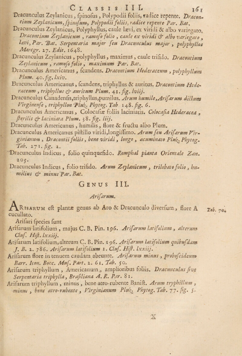 I ' 'Classis I I I, __ K?r Dracunculus Zeylanicus , fpinofus, Polypodii foliis, radice repente. 'Dracon- timn Zeylanicum ,fipinofium^ Polypodii foliis, radice repente- Par. Bat. Dracunculus Zeylanicus, Polyphyllus, caule 1 sevi, ex viridi & albo variegaro, Dracontium Z eylanicum , ramofo folio , caule ex viridi & albo variegato % laviy Par. 73at. Serpentaria major feu Dracunculus major , polyphyllojt Marcgr. 27. Edit. 1648. Dracunculus Zeylanicus , polyphyllus , maximus, caule trifido. Dracontium Z eylanicum } ramofio folio , maximum par. Bat. Dracunculus Americanus * (candens. Dracontium Hederaceum , polyphyllum Pium. 40,fg. Ixiv. Dracunculus Americanus , fcandens, triphyllus 8c auritus. Dracontium Hede*> raceum , triphyllus & auritum Pium. 41. fig. Iviij. Dracunculus Canadenfis,triphyllus,pumilus. Arum humileyArifiarum ditium Virginenfie , triphyllon PlukPhytog. Tab 148. fig. 6. Dracunculus Americanus , Colocafia* foliis laciniatis» Colocajia Hederacea 9 fle/ilis & laciniata Pium. 3 8. fig. liij. Dracunculus Americanus , humilis , flore & frudtu albo Pium. Dracunculus Americanus piftillo viridiflongiilimo. Arum fieu Arifiarum Vir* ginianum , Dracontii foliis , bene viridi , longo , acuminato Pluj^ Phytog.« Tab. 271. fig. 2. Dracunculus Indicus , folio quinquefido. Romphal piant a Orientale Zan. 2oj. Dracunculus Indicus , folio trifido0 Arum Zeylanicum , trilobato folio 3 &/£. milius (Z minus Par. Zfof. ■•Genus 11L Arifiarum8 j^Risarum eft planta genus ab Aro & Dracunculo diverfum flore A cucullato. ' . - Ariiari fpecies funt Arifarum latifolium , majus C. B. Pin. 196. Arifiarum latifolium 3 alterum Clufi. Hifi. Ixxiij. Ariiarum latifolium, alterum C. B. Pin. .i 96. Arifiarum latifolium juibufidam J. B. 2. 786. Arifiarum latifolium 1. Clufi. Hifi. Ixxiij. Arifarum flore in tenuem caudam abeunte. Arifiarum minus , probofcideum Barr. Icon. Bocc. Mufi. Part. 1. 61. Tab. yo. Arifarum triphyllum , Americanum amplioribus foliis. Dracunculus fivs Serpentaria triphylla> Brafiliana A. R. Par. 81. Arifarum triphyllum , minus, bene atro-rubente Banifl. Arum tryphillum , minm > bene atro-rubente > Vir ginianum Plui^ Phytog. Tab. 77. fig. J- \ x