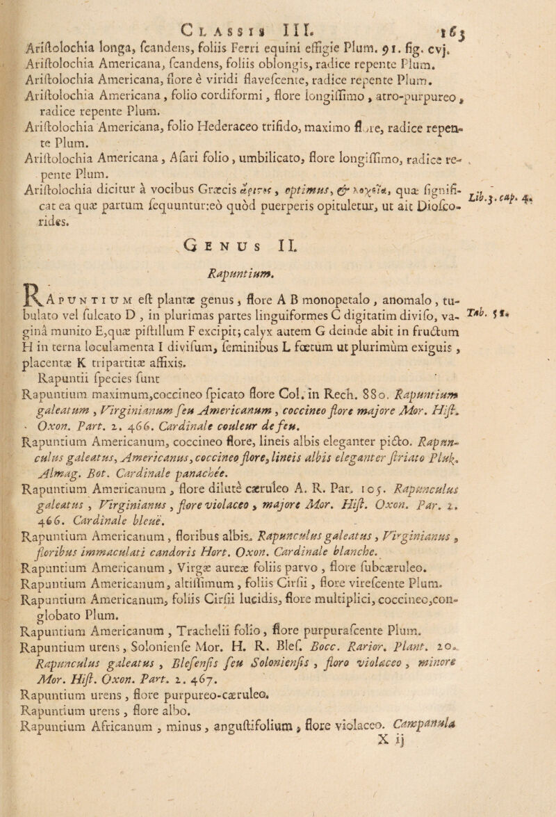J Classis III. \€$ Ariftolochia longa, fcandens, foliis Ferri equini effigie Pium. 91. fig, cvj9 Ariftolochia Americana, fcandens, foliis oblongis, radice repente Pium. Ariftolochia Americana, flore e viridi flavefcente, radice repente Pium. Ariftolochia Americana, folio cordiformi, flore longiflimo , atro-purpureo t radice repente Pium. Ariftolochia Americana, folio Hederaceo trifido, maximo fl ue, radice repeti» te Pium. Ariftolochia Americana, A fari folio, umbilicato, flore longiflimo, radice re¬ pente Pium. Ariftolochia dicitur a vocibus Graecis 2 fine, optimus i & \oyj7tt, qua; fignifi* cat ea qux partum fequuntuneo quod puerperis opituletur, ut ait Diofco- rides. Lth.$,cap» 4« \ ,Gends IL ^ ' Rapuntium. }xA p v n t 1 tr m eft plantae genus, flore A B monopetalo, anomalo , tu¬ bulato vel fulcato D , in plurimas partes linguiformes G digitatim divifo, va- T*b. f f* gina munito E,quas piftillum F excipit; calyx autem G deinde abit in frudtum H in terna loculamenta l diyifum, feminibus L foetum ut plurimum exiguis, placentas K tripartitas affixis. Rapuntii fpecies fime Rapuntium maximum,coccineo fpicato flore Coi, in Rech. 880. Rapuntium galeatum , Virgini anum feu Americanum, coccineo flore majore Ador. Hifla • Oxon. Part. 1. 4 66. Cardinale coale ur de feu» Rapuntium Americanum, coccineo flore, lineis albis eleganter pi£io. Rapnn~ culus galeatus> Americanus, coccineo flore flineis albis elegant er ftriato Plu Almag. Bot. Cardinale panachee. Rapuntium Americanum , flore dilute caeruleo A. R. Pan toy. Rappmculus galeatus , Virginianns , flore violaceo > majore Ador. Hifi. Oxon. Par. 2. 46 6. Cardinale bleue. Rapuntium Americanum, floribus albis,. Rapunculus galeatus, Virginianus 9 flloribus immaculati candoris Hort. Oxon. Cardinale blanche. Rapuntium Americanum , Virgas aureae foliis parvo , flore fubcasruleo. Rapuntium Americanum, altiflimum, foliis Cirfii, flore virefcente Pium. Rapuntium Americanum, foliis Cirfii lucidis, flore multiplici, coccineo,coii» globato Pium. Rapuntium Americanum , Tracheiti folio, fiore purpurafcente Pium. Rapuntium urens, Solonienfe Mor. H. R. Blef. Bocc. Rarior. Piant. 20. Rappmculus galeatus , Rlefenfis feu Solonienfis , floro violaceo, minere Mor. Hifl. Oxon. Part. 1. 467. Rapuntium urens , flore purpureo-c^ruleo, Rapuntium urens, flore albo. Rapuntium Africanum , minus, anguftifolium $ flore violaceo. Campanula X ij »
