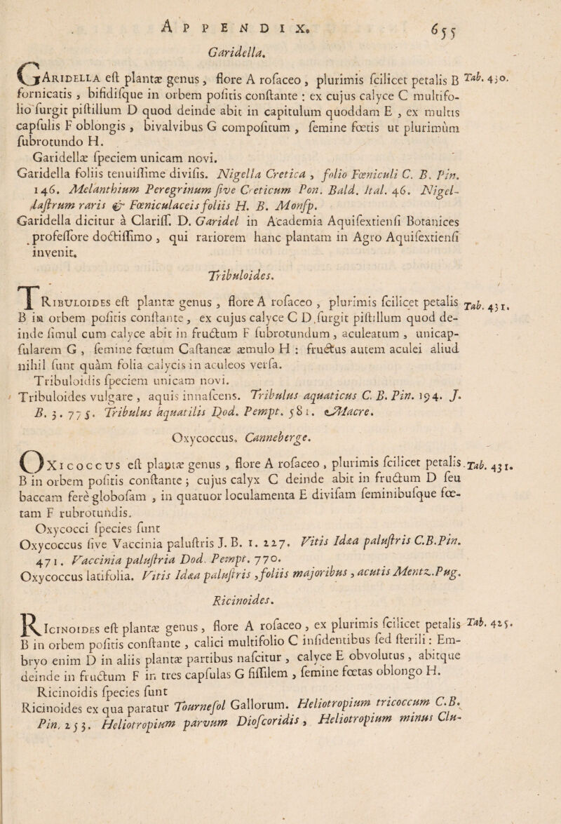 G aride lia. 655 Vj*Aridella eft plantse genus 3 flore A rofaceo 5 plurimis fcilicet petalis B Ta^ 43°* fornicatis , bifidifque in orbem pofitis conflante ; ex cujus calyce C multifo¬ lio furgit piflillum D quod deinde abit in capitulum quoddam E , ex multis capfulis F oblongis, bivalvibus G compofitum ? femine foetis ut plurimum fubrotundo H. Garidellce fpeciem unicam novi. Garidella foliis tenuiflime divifis. Nigella Cretica , folio Fosniculi C. B. Pin. 146. Melanthium Peregrinum five G eticum Pon. Bald. Jtal. 46. Nigel- 'lafirum raris & Foeniculaceis foliis H. B. Monfp. Garidella dicitur a ClariflT. D. Garidel in Academia Aquifextienfi Botanices profeffore dodifflmo 5 qui rariorem hanc plantam in Agro Aquifextienfi invenit* Trihuloides. Ribuloides eft .plantae genus 3 flore A rofaceo 3 plurimis fcilicet petalis B m orbem pofitis conflante ? ex cujus calyce C D /urgit piflillum quod de¬ inde fimul cum calyce abit in frudum F fubrotundum, aculeatum a unicap- fularem G , femine foetum Caftaneae asmulo H : frudus autem aculei aliud nihil funt quam folia calycis in aculeos verfa. Tribuloidis fpeciem unicam novi. Trihuloides vulgare , aquis innafeens. Tribulus aquaticus C, B. Pin. 194. J* B. 3. 775. Tribulus aquatilis Qod. Pempt. 581. nJPlacre. Oxycoccus* Canneberge. (3xj c oecus eft plapue genus , flore A rofaceo , plurimis fcilicet petalis, xab. 431* B in orbem pofitis conflante; cujus calyx C deinde abit in frudum D feu baccam fere-globofam 5 in quatuor loculamenta E divifam feminibufque foe¬ tam F rubrotundis. Oxycocci fpecies funt Oxycoccus five Vaccinia paluftris J. B. 1. 227, Vitis Id&a paluflris C.B.Pin. 471. Vaccinia paluftria Dod, .Pempt. 77°* Oxycoccus latifolia. Vitis Id&a paluftris ,foliis majoribus , acutis Mentz^.Pug. Ricinoides. JXICINOIDES eft piant* genus ? flore A rofaceo , ex plurimis fcilicet petalis Tab. 42*. B in orbem pofitis conflante , calici multifolio C infidentibus fed fleim . Em¬ bryo enim Ii) in ahis planta partibus nafcitur y calyce E obvolutus, abitque deinde in frudum F in tres capfulas G fiffilem > femine foetas oblongo H. Ricinoidis fpecies funt . _ Ricinoides ex qua paratur Tournefol Gallorum. Hdiotropium tncoccum C.B.