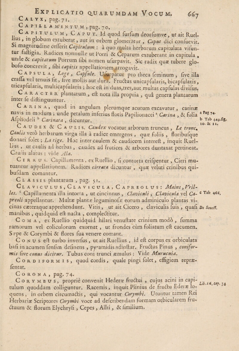 I 66j Explicatio q_uarumdam Vocum. Calyx, pag. 71. Capill amlntuMj pag. 7 o. ^ p 1 * u L u M > Caput. Id quod furfum deorfumve, ut ait Rud¬ ias , in g obum extuberat, aut in orbem glomeratur , Caput dici confuevit. 1 magnitudine cefleiit Capitulum : a quo multa herbarum capitulata vifun- £ur adigi a. Rauices nonnulla1 ut Porri & Ceparum extuberant in capitula * unde & capitatum Porrum dbi nomen ufurpavit. Sic radix qua; tubere glo- D010 concrevit, libi capitis appellationem arrogavit. Capsula, Loge , Capfule. Ulurpatur pro theca feminum , dve illa crafla vel tenuis fit, dve moliis aut dura. Frudus unicapfularis, bicapfularis, tucapimaiis, muldcapiuiaris ; hoc efl in duas,tres,aut multas capfulas divifus. . C a r a c t £ r piantarum , ed nota illa propria , qua genera plantarum inter fe didinguuntur. Carina, quod in angulum plerumque acutum excavatur, carinas navis in modum i unde petalum inferius doris Papilionaceia Carina , & folia apag74‘ A(ph'odeli 0 Carinata , dicuntur. ^ 449*%^ Caudex & Caulis. Caudex vocatur arborum truncus, Le tronca Lamis vero herbarum virga illa a radice emergens , quae foliis , floribufque donari folet; Lja tige. Hoc inter caulem & caudicem intered , inquit Ruel- iius , ut caulis ad herbas, caudex ad frutices de arbores duntaxat pertineat. Caulis alatus : vide Ala. Cirrus. Capillamenta , exRuellio , d contorta crifpentur , Cirri mu¬ tuantur appellationem. Radices cirrata dicuntur , quae veluti crinibus qui- bufdam comantur. C l assis plantarum , pag, 51. Cl a viculus, Clavicula, Capreolus: Mains, Vril- les. c Capillamenta illa intorra , ut cincinnus , Clavi culi , Clavicula vel Ca~ € Tab preoii appellantur. Multae planta leguminode eorum adminiculo plantas vi¬ cinas csteraque apprehendunt. Vitis, utaitCice.ro, claviculis fu is , quad De Seueti. manibus , quidquid ed natta , compiedditur. Coma, ex Ruellio quidquid hilari venuftate crinium modo , fumma ramorum vel coliculorum exornat , ut frondes ciim foliatum ed cacumen. Sepe Sc Corymbi Sc flores fua venere comant. C o n u s, ed turbo inverfus , ut ait Ruellius , id ed corpus ex orbiculata bad in acumen fendm dednens , pyramidis adindar. Fru6tus Pinus , conifor- mis Cive conus dicitur. Tubus coni trunci aemulus : Vide Murucuia. Cordiformis, quod cordis, quale pingi folet, effigiem reptae fentat. Corona, pag. 74» Corymbus, proprie convenit Hederae fru£tui , cujus acini in capi¬ tulum quoddam colliguntur. Racemis, inquit Plinius de fru£tu Ederas la¬ queus , in orbem circumadtis, qui vocantur Corymbi. Utuntur tamen Rei Herbariae Scriptores Corymbi voce ad defcribendam formam orbicularem fru-> Ctuum florum Elychryh , Cepes, Allu , 6e hmilium.