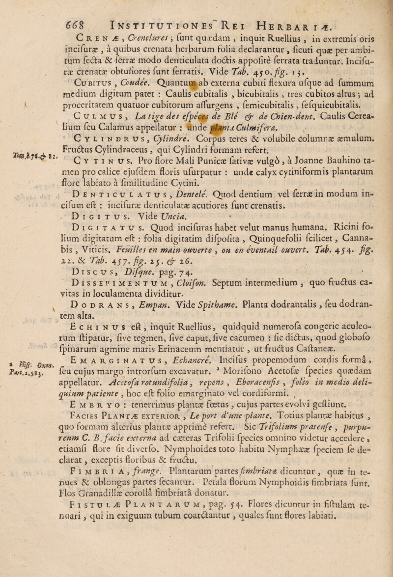 Tm.l7$.fo ?2 \ a &ift- OXM. Tart.z,iZ$. 66%, Institutiones Rei Herbaria C R e n j£ , Cr enetur es j funt quxdam , inquit Ruellius, in extremis oris incifurae , a quibus crenata herbarum folia declarantur , ficuti qu^ per ambi¬ tum fedta Si ferrae modo denticulata dodtis appofite ferrata traduntur. Incifu¬ rae crenatae obtufiores funt ferratis. Vide Tab. 450.fig. 1 3. Cubitus , Coudee. Quantum ab externa cubiti flexura ufque ad fummum medium digitum patet : Caulis cubitalis , bicubitalis , tres cubitos altus; ad proceritatem quatuor cubitorum adurgens , femicubitalis , fefquicubitalis. Culmus, La tige des efipeces de Ble & de Chien-dent. Caulis Cerea¬ lium feu Calamus appellatur : unem piant a Culmi fera. Cylindrus, Cylindre. Corpus teres Sc volubile columnae aemulum. Frudtus Cylindraceus , qui Cylindri formam refert. C y tinus. Pro flore Mali Punicae fativae vulgb , a Joanne Bauhino ta¬ men pro calice ejufdem floris ufurpatur : und® calyx cytiniformis plantarum flore labiato a fimilitudine Cytini. Denticulatus, Dentele\ Quod dentium vel ferrae in modum in- cifum efl: : incifurae denticulatae acutiores funt crenatis. Digitus. Vide Uncia. Digitatus. Quod incifuras habet velut manus humana. Ricini fo» lium digitatam efl: : folia digitatim difpofita , Quinquefolii fcilicet, Canna¬ bis , Viticis. Femlles en main ouverte , ou en eventail ouvert. Tab. 4 J4* fig» zi. Sc Tab. 457* fig. ij. & Discus, Difiqae. pag. 74. Dissepimentum , Cloifion. Septum intermedium , quo frudtus ca¬ vitas in loculamenta dividitur. Dodrans, Empan. Vide Spithame. Planta dodrantalis , feu dodran¬ tem alta. Echinus efl:, inquit Ruellius, quidquid numerofa congerie aculeo¬ rum ftipatur, five tegmen, five caput, fi ve cacumen : fic didtus, quod globofb fpinarum agmine maris Erinaceum mentiatur , ut frudtus Caftaneae. Emarginatus, Echancre. incifus propemodum cordis forma * feu cujus margo introrfum excavatur. a Morifono Acetofe fpecies quaedam appellatur. Flcetofia ratund folia, repens , Eboracenfis , folio in medio deli¬ quium patiente , hoc efl: folio emarginato vel cordiformi. v Embryo: tenerrimus plantae foetus, cujus partes evolvi gefliunt. Facies Planta exterior , Leport d’une piante. Totius plantae habitus y quo formam alterius plantae apprime refert. Sic Trifolium pratenfe , purpu¬ reum C. B. facie externa ad caeteras Trifolii fpecies omnino videtur accedere » etiamh flore fit diverfo. Nymphoides toto habitu Nymphaea fpeciem fe de¬ clarat , exceptis floribus Sc fru&u. F 1 M b r 1 A , frange. Plantarum panes fimbriata dicuntur , qure in te¬ nues Sc oblongas partes fecantur. Petala florum Nymphoidis fimbriata funt. Flos Granadillae corolla fimbriata donatur. Fistulae Plantarum, pag. 54. Flores dicuntur in fiflulam te¬ nuari , qui in exiguum tubum coar&antur , quales funt flores labiath