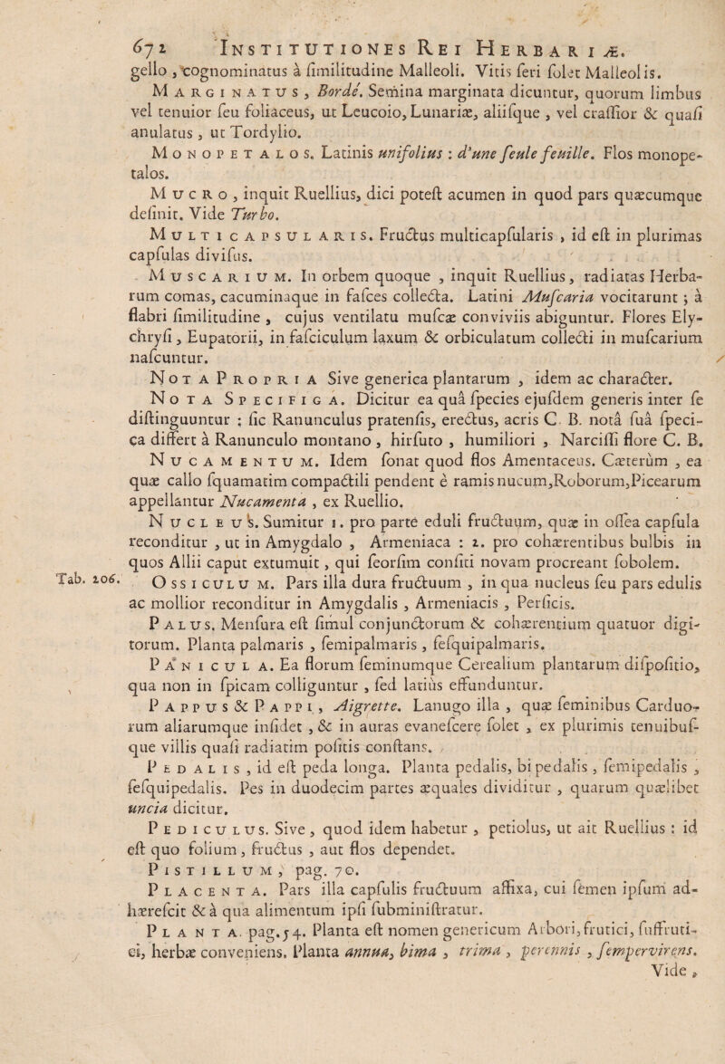 1 Institutiones Rei Herbaria, gello , cognominatus a fimilitudinc Malleoli. Vitis feri folet Malleolis. Margi natus, Bor.de, Semina marginata dicuntur, quorum limbus vel tenuior feu foliaceus, ut Leucoio, Lunariae, aliifque , vel craffior <3c qua fi anulatus , ut Tordyiio. Monopet alos. Latinis unifolius : d*tme feule fe mile. Flos monope* talos. M u c R o , inquit Ruellius, dici poteft acumen in quod pars quascumque delinit. Vide Turbo. Mult i capsul aris. Frudus multicapfularis , id eft in plurimas capfulas divifus. M u s c a r i u m. In orbem quoque , inquit Ruellius, radiatas Herba-* rum comas, cacuminaque in fafces colleda. Latini Mufcaria vocitarunt ; a flabri limilitudine , cujus ventilatu rnufcas conviviis abiguntur. Flores Ely- chryfi , Eupatorii, in fafciculum laxum &c orbiculatum colledi in mufcarium nafcuntur. NotaPropria Sive generica plantarum , idem ac charader. Nota Specifica. Dicitur ea qua fpecies ejufdem generis inter fe diftinguuntur : lic Ranunculus pratenfis, eredus, acris C B. nota fu a fpeci- ca differt a Ranunculo montano , hirfuto , humiliori , Narcifli flore C. B. Nucamentum. Idem fonat quod flos Amentaceus. Caeterum , ea quae callo fquamatim compadili pendent e ramis nucum,Roborum5Picearum appellantur Nucamenta , ex Ruellio. NucleuI Sumitur i. pro parte eduli fruduum, quas in ollea capfula reconditur , ut in Amygdalo , Armeniaca : i. pro cohaerentibus bulbis in quos Allii caput extumuit, qui feorlim coniiti novam procreant fobolem. Ossiculu m. Pars ilia dura fruduum , in qua nucleus feu pars edulis ac mollior reconditur in Amygdalis , Armeniacis , Perficis. Palus. Menfuraeft fimul conjunctorum & cohaerentium quatuor digi¬ torum. Planta palmaris , fe mi palmaris , fefquipalmaris. Panicula. Ea florum feminumque Cerealium plantarum difpofitio, qua non in fpicam colliguntur , fed latius effunduntur. Pappus & Pappi , Aigrette. Lanugo illa , quae feminibus Carduo¬ rum aliarumque infidet ,6c in auras evanefcere folet , ex plurimis cenuibut que villis quali radiatim politis conflans. , Pedalis, id eft peda longa. Planta pedalis, bi pedalis , lemipedalis , fefquipedalis. Pes in duodecim partes aequales dividitur , quarum quaelibet uncia dicitur. Pediculus. Sive , quod idem habetur , petiolus, ut ait Ruellius : id eft quo folium, Rudus , aut flos dependet. Pistillum, pag. 70. Placenta. Pars illa capfulis fruduum affixa, cui femen ipfum ad¬ ii sere fcit &c & qua alimentum ipfi fubminiftratur. Planta, pag.54. Planta eft nomen geneticum Arbori,frutici, fufFruti- ei, herbae conveniens. Planta annua, bima , trima , perennis , fempervirens. Vide *