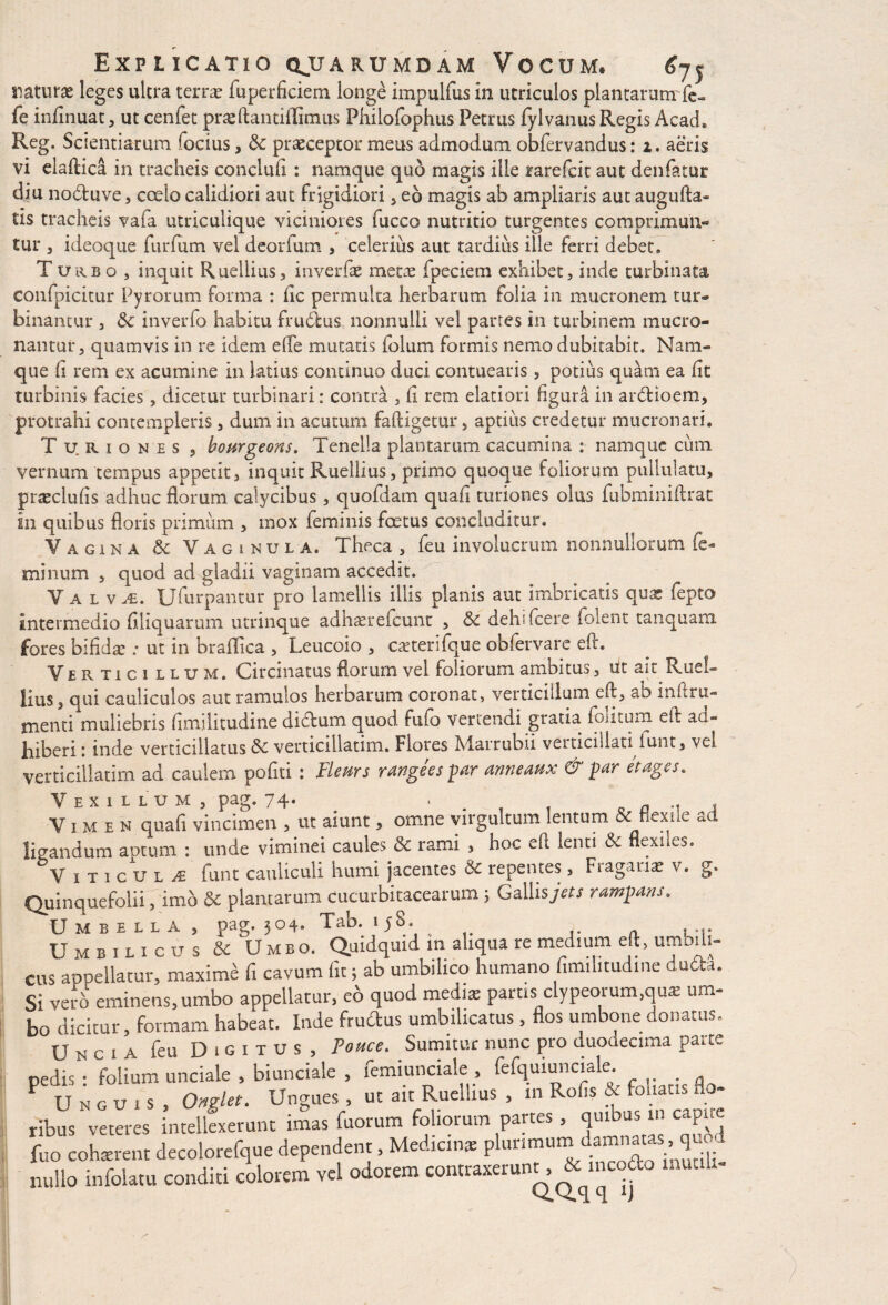 minum Explicatio qjjarumdam Vocum. natura leges ulcra terra? fuperficiem longe lmpulfus in utriculos plantaram fe- fe infirmat, ut cenfet prajftantiflimus Philofophus Petrus fylvanus Regis Acad* Reg. Scientiarum focius, & praeceptor meus admodum obfervandus: 2. aeris vi elafiica in tracheis conclufi : namque quo magis ille rarefcit aut denfatur diu nodluve, cceio calidiori aut frigidiori , eo magis ab ampliaris aut augufta- tis tracheis vafa utriculique viciniores fucco nutritio turgentes comprimun¬ tur 3 ideoque furfum vel deorium > celerius aut tardius ille ferri debet. confpicitur Pyrorum forma : fic permulta herbarum folia in mucronem tur- binantur , inverfo habitu frudlus nonnulli vel partes in turbinem mucro- nantur, quamvis in re idem effe mutatis folum formis nemo dubitabit. Nam¬ que (i rem ex acumine in latius continuo duci contuearis, potius quam ea fit turbinis facies, dicetur turbinari: contra , fi rem elatiori figura in ar&ioem, protrahi contempleris , dum in acutum faftigetur, aptius credetur mucronari. Tu.riones , bomgeons. Tenella plantarum cacumina : namque cum vernum tempus appetit, inquit Ruellius, primo quoque foliorum pullulatu, prseclufis adhuc florum calycibus, quofdam quafi turiones olus fubminiftrat in quibus floris primum , mox feminis fcetus concluditur. quod ad gladii vaginam accedit. V a l v al, IJfurpantur pro lamellis illis planis aut imbricatis qua? fepto intermedio Aliquarum utrinque adha?refcunt , &c dehifcere folent tanquam fores bifida?: ut in braflica , Leucoio , caderifque obfervarc efl. Vertici llum. Circinatus florum vel foliorum ambitus, ut ait Ruel¬ lius, qui cauliculos aut ramulos herbarum coronat, verticillum efl, ab infiru- menti muliebris fimilitudine diebum quod fufo vertendi gratia foiitum eft ad¬ hiberi 1 inde verticillatus Sc verticillatim. Flores Marrubii veiticillati iunt, vel verticillatim ad caulem pofiti : Fleurs r ange es par anneanx & par et ages. Vexillum, pag. 74. , a .. , Vimen quafi vincimen , ut aiunt, omne virgultum lentum bc «exile ad ligandum aptum : unde viminei caules & rami , hoc eft lenti & flexiles. V incute iunt cauliculi humi jacentes dc repentes , Fiagauae v. g. Quinquefolii, imo & plantarum Cucurbitacearum; Gallisyeff rampam. Umbella, pag. 504. Tab. 1 58. Umbilicus & Umbo. Quidquid in aliqua re medium eft, umbili¬ cus appellatur, maxime fi cavum fit; ab umbilico humano fimilitudine dudts. Si vetb eminens, umbo appellatur, eo quod medi* partis clypeorum,quae um¬ bo dicitur, formam habeat. Inde fructus umbilicatus , flos umbone donatus. Uncia feu Digitus, Pouce. Sumitur nunc pro duodecima parte pedis : folium unciale , biunciale , femiunciale , fefquiunciale. F Unguis, Onglet. Ungues , ut ait Ruellius , in Rofis & foliat H ribus veteres intellexerunt imas fuorum foliorum partes , quibus in capite fuo cohaerent decolorefque dependent, Medianae plurimum damnatas. quoc nullo infolatu conditi colorem vel odorem contraxerunt^ mcodo mut