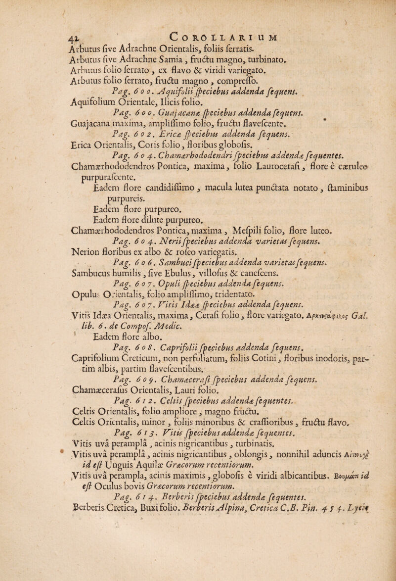 4* ‘ Corollarium Arbutus five Adrachne Orientalis, foliis ferratis. Arbutus five Adrachne Samia, fru&u magno, turbinato. Arbutus folio ferrato , ex flavo &c viridi variegato. Arbutus folio ferrato, fru&u magno , compreflo. Pag. 600. Aquifolii fpeciebus addenda fequens. Aquifolium Orientale, Ilicis folio. Pag. 600. Guajacana fpeciebus addenda fequens. Guajacana maxima, ampliflimo folio, frubfcu flavefcente. Pag. 602. Eri e a fpeciebus ad.denda fequens. Erica Orientalis, Coris folio, floribus globofis. Pag. 604. Chamarh odo dendri fpeciebus addenda fequentes. Chamasrhododendros Pontica, maxima, folio Laurocerafi, flore e caerulee purpurafcente. Eadem flore candidiffimo , macula lutea punbtata notato , flaminibus purpureis. Eadem flore purpureo. Eadem flore dilute purpureo. Chamasrhododendros Pontica, maxima , Melpili folio, flore luteo. Pag. 604. Neriifpeciebus addenda varietas fequens. Nerion floribus ex albo & roieo variegatis. Pag. 6 o 6. Sambuci fpeciebus addenda varietas fequens* Sambucus humilis, five Ebulus, villofus & canefcens. Pag. 607. Opuli fpeciebus addenda fequens. Opulum Orientalis, folio ampliflimo, tridentato. Pag. 607. Vitis Idaa fpeciebus addenda fequens. Vitis Idaea Orientalis, maxima, Cerafi lolio, flore variegato. Af>KTisd<pthc$ GaL lib. 6. de Compof Medie. Eadem flore albo. Pag. 608. Caprifolii fpeciebus ad,denda fequens. Caprifolium Creticum, non perfoliatum, foliis Cotini, floribus inodoris, par- tim albis, partim flavefeentibus. Pag. 6 0 q. Chamaceraft fpeciebus addenda fequens. Chamaecerafus Orientalis, Lauri folio. Pag• 612. Celtis fpeciebus addenda fequentes. Celtis Orientalis, folio ampliore , magno fructu. Celtis Orientalis, minor , foliis minoribus & craflloribus, frueflu flavo, Pag. 613. Vitis fpeciebus addenda fequentes. Vitis uva perampla , acinis nigricantibus, turbinatis. Vitis uva perampla, acinis nigricantibus, oblongis, nonnihil aduncis Aiwv$ id eft Unguis Aquilas Gracorum recentiorum. kVitis uva perampla, acinis maximis, globofis e viridi albicantibus. RovyJvn id eft Oculus bovis Gracorum recentiorum. Pag. 614. Berberis fpeciebus addenda fequentes. Berberis Cretica* Buxi folio. Berberis Alpina, Cretica G»B* Pin. 4/4. Lym