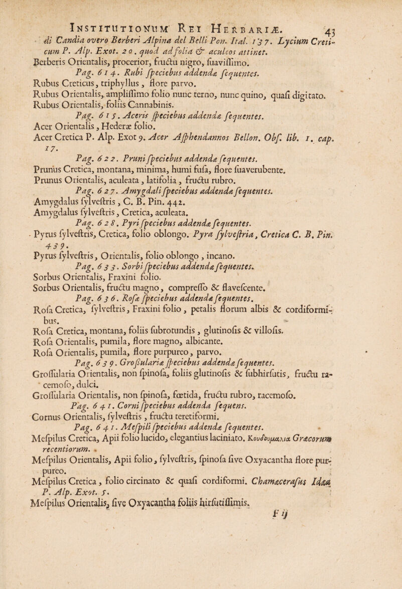 di Candia overo Berberi Alpina dei Belli Pon. Ital. i '3 7. Lycium Creti-»■ cum P. Alp. Exot. 2 0 . quod ad folia & aculeos attinet. Bcrberis Orientalis, procerior, fru&u nigro, fiiaviffimo. Pag. 614. Rubi fpeciebus addenda fequentes. Rubus Creticus, triphyllus , flore parvo. Rubus Orientalis, ampliflimo folio nunc terno, nunc quino, quafi digitato. Rubus Orientalis, foliis Cannabinis. Pag.. 6 1 j. Aceris fpeciebus addenda fequentes. Acer Orientalis, Hederas folio. Acer Cretica P. Alp. Exot 9. Acer AJphendannos Bellon. Obf. lib. i. cap. x 7 • Pag. 622. Pruni fpeciebus addenda fequentes. Prunus Cretica, montana, minima, humi fufa, flore fuaverubente. Prunus Orientalis, aculeata , latifolia , fru&u rubro. Pag. 627. Amygdali fpeciebus addenda fequentes. Amygdalus fylveftris, C. B. Pin. 442. Amygdalus fylveftris, Cretica, aculeata. Pag. 628. Pyri fpeciebus addenda fequentes. - Pyrus fylveftris, Cretica, folio oblongo. Pyra fylveftria, Cretica C. B, Pin. P 3 9 • Pyrus fylveftris, Orientalis, folio oblongo , incano. Pag. 633. Sorbi fpeciebus addenda fequentes* Sorbus Orientalis, Fraxini folio. Sorbus Orientalis, fru£iu magno, compreflo Sc flavefcente. Pag. 63 6. Rofa fpeciebus addenda fequentes. Rofa Cretica, fylveftris. Fraxini folio, petalis florum albis 5c cordiformi- bus. Rofa Cretica, montana, foliis fubrotundis, glutinofts Sc villofis. Rofa Orientalis, pumila, flore magno, albicante. Rofa Orientalis, pumila, flore purpureo, parvo. Pag. 639. Grofularia fpeciebus addenda fequentes. GrofTularia Orientalis, non fpinofa, foliis glutinofis & fubhirfutis, frudhi ra¬ cemo ib, dulci. GrofTularia Orientalis, non fpinofa, foetida, frudru rubro, racemofo. Pag. 6 4 /. Corni fpeciebus addenda fequens. Cornus Orientalis, fylveftris, fru&u teretiformi. Pag. 641. Adefpili fpeciebus addenda fequentes. Mefpilus Cretica, Apii folio lucido, elegantius laciniato. Koucftt^aaA/a Gracorum recentiorum. , Mefpilus Orientalis, Apii folio, fylveftris, fpinofa five Oxyacantha flore pur¬ pureo. Mefpilus Cretica, folio circinato Sc quafi cordiformi. Chamacerafus Id&A P. Alp. Exot. j. Mefpilus Orientalis, five Oxyacantha foliis hirfutiffimis.