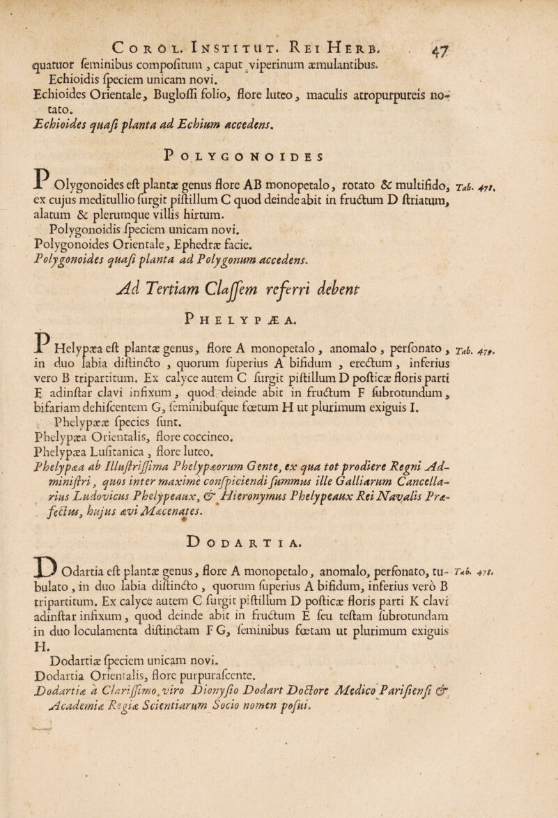 quatuor feminibus compofitum , caput viperinum aemulantibus» Echioidis fpeciem unicam novi. Echioides Orientale, Buglofli folio, flore luteo, maculis atropurpureis no» tato. Echioides qua fi flant a ad E chiam accedens. P O LYGO NOIDBS P Olygonoides eft plantae genus flore AB monopetalo, rotato Sc multifido, 7*6. 4?k ex cujus meditullio furgit piftillum C quod deinde abit in frudum D ftriatum, alatum Sc plerumque villis hirtum. Polygonoidis fpeciem unicam novi. Polygonoides Orientale, Ephedrae facie. Polygonoides quafi flant a ad Polygonum accedens. Ad Tertiam Clajjem referri debent Phelypjea. P Helypaeaeft plantae genus, flore A monopetalo, anomalo , perfonato , xab. 47». in duo labia diftindo , quorum fuperius A bifidum , eredum , inferius vero B tripartitum. Ex calyce autem C furgit piftillum D pofticae floris parti E adinftar clavi infixum, quod: deinde abit in frudum F fubrotundum, bifariam dehifcentem G, feminibufque foetum H ut plurimum exiguis I. Phelypaeae fpecies fiint. Phelypaea Orientalis, flore coccineo. Phelypaea Lufitanica , flore luteo. Phelyfaa ab IUuftriJJima Phelypaorum Gente, ex qua tot frodiere Regni Ad- miniflri, quos inter maxime confpiciendi fummus ille Galliarum Cancella¬ rius Ludovicus Phelyfeaux, & Hieronymus Phelyfeaux Rei Navalis Pra- fetius, hujus avi Macenates. Dodartia. D Odartia efl plantte genus, flore A monopetalo, anomalo, perfonato, tu- 47?, bulato , in duo labia diftindo , quorum fuperius A bifidum, inferius vero B tripartitum. Ex calyce autem G furgit piftillum D pofticae floris parti K clavi adinftar infixum, quod deinde abit in frudum E feu teftam fubrotundam in duo loculamenta diffindam F G, feminibus foetam ut plurimum exiguis H. . ' : -' ’ Dodartiae fpeciem unicam novi. Dodartia Orientalis, flore purpurafcente. Dodartia d C lariJJimo, viro Dionyfio Dodart D ocior e Medico Parifienfi & Academia Regia Scientiarum Socio nomen pofui.