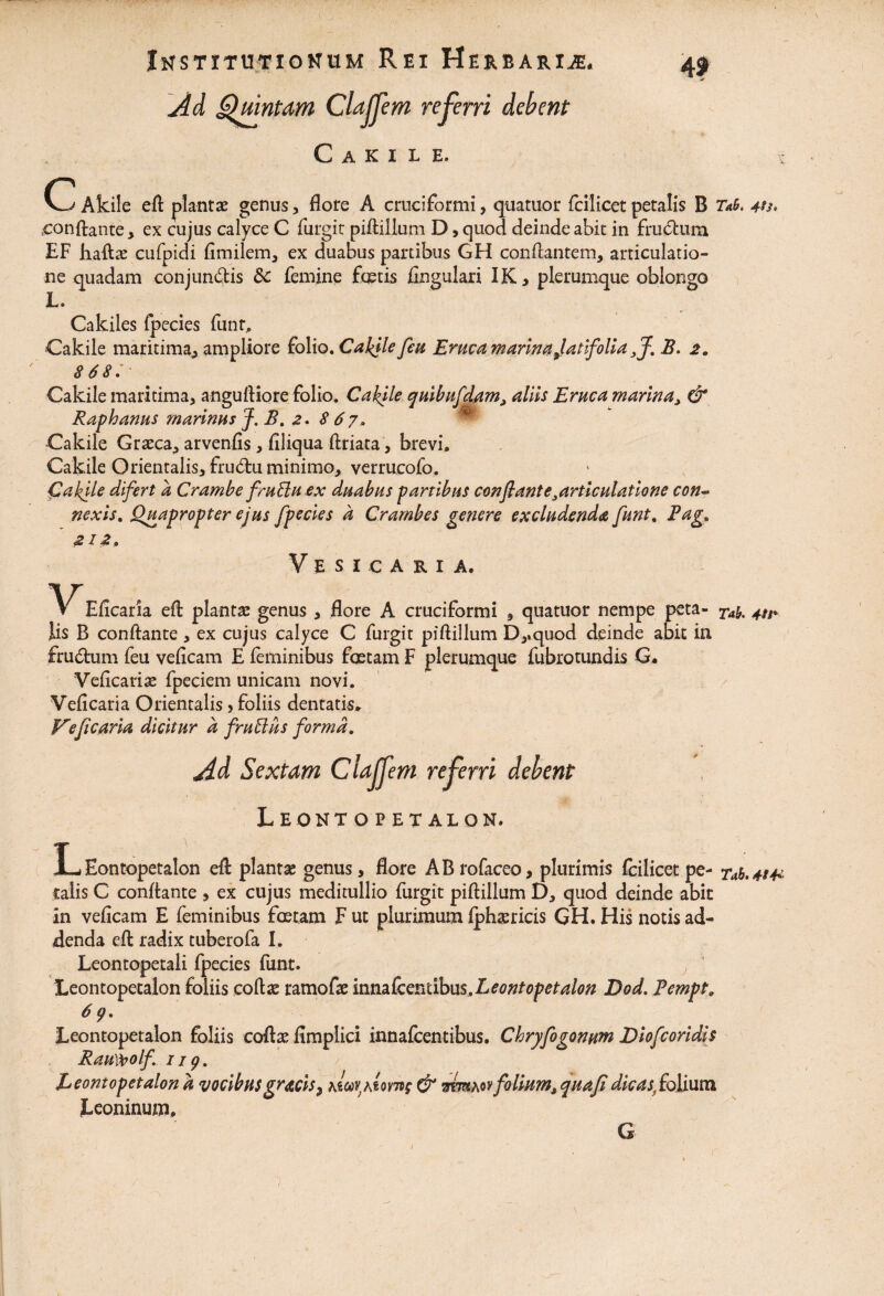 Ad Quintam Claljem referri debent C A K I L E. c G/ Akile eft planta: genus, flore A cruciformi, quatuor fcilicet petalis B Ta!>. 4*s. conflante, ex cujus calyce C furgit piftillum D, quod deinde abit in frudum EF haftte cufpidi fimilem, ex duabus partibus GH conflantem, articulatio¬ ne quadam conjundis 5c femine fotis lingulari IK, plerumque oblongo L. Cakiles fpecies funr, Cakile maritima, ampliore folio. C akile feu Eruca marina Jatifolia flf. B. 2. 868:' Cakile maritima, anguftiore folio. Cakile quibusdam, aliis Eruca marina > & Raphanus marinus f. B. 2» 867, Cakile Graeca, arvenfis, filiqua ftriata, brevi. Cakile Orientalis, frudu minimo, verrucofo. Cakile difert a Crambe fruElu ex duabus partibus conflante}articulatione con¬ nexis, Quapropter ejus fpecies d Crambes genere excludenda funt, Pag, 212, Vesicaria. V^Eficaria efl planta genus , flore A cruciformi , quatuor nempe peta- Tab. 4tr Iis B conflante, ex cujus calyce C furgit piftillum D,»quod deinde abit in frudum feu veficam E feminibus fotam F plerumque fubrotundis G» Veflcariae fpeciem unicam novi. Veficaria Orientalis > foliis dentatis. F^eficaria dicitur d frublus forma. Ad Sextam Claljem referri debent Leontopetalon, LEontopetalon efl: plantae genus, flore ABrofaceo, plurimis fcilicet pe- Tab,4t& talis C conflante , ex cujus meditullio furgit piftillum D, quod deinde abit in veficam E feminibus fotam F ut plurimum fphaericis GH. His notis ad¬ denda eft radix tuberofa I. Leontopetali fpecies funt. Leontopetalon foliis coftae ramofte innafcentibus.Leontopetalon Dod. Pempt. 6 9. Leontopetalon foliis coftae fimplici innafcentibus. Chryfoqonwm Diofcoridis Raulolf.ii9. Leontopetalon d vocibusgraris9 ascwjAtorwf & vmxoy folium, quafidicas,folium Leoninum. G