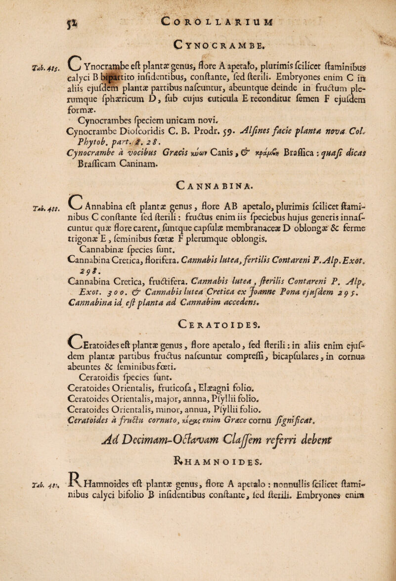 f* Tab. 4!$. T*b, 4$S. Tab. 4S\ Corollarium Cyno crambe. (j Ynocrambe eft planta: genus, flore A apecalo, plurimis fcilicet flaminibus calyci B bipartito infidentibus, conftante, fed fterili. Embryones enim C ira aliis ejufdcm plantae partibus nafcuntur, abeuntque deinde in frudum ple¬ rumque fphsericum D, fub cujus cuticula E reconditur femen F ejufdem formae. Cynocrambes fpeciem unicam novi, Cynocrambe Diofcoridis C. B. Prodr. 59. Alfene s facie planta nova CoL Phytob. part. 0, 28. Cynocrambe a vocibus Gratis wuv Canis ,& Braffica i quafi dicas Braflicam Caninam. Canna bina. C Annabina efl: plantas genus, flore AB apetalo, plurimis fcilicet ftami- nibus C conflante fed fterili: frudus enim iis fpeciebus hujus generis innaf- cuntur quae flore carent, flmtque capfulae membranaceae D oblongae Sc ferme trigonae E, feminibus foetae F plerumque oblongis. Cannabinae fpecies funt. Cannabina Cretica, florifera. Cannabis lutea, fertilis Contareni P.Alp*Exota 29$. Cannabina Cretica, frudifera. Cannabis lutea , fierilis Contareni P. Alp* Exot. 300, & Cannabis lutea Cretica ex Joanne Pona ejufdem 29$. Cannabina id efl planta ad Cannabim accedens* Ceratoides. (^Eratoides efl plantae genus, flore apetalo, fed fterili; in aliis enim ejuf¬ dem plantae partibus frudus nafcuntur eompreftS , bicapfulares, in cornua abeuntes &c feminibus foeti, Ceratoidis fpecies funt. Ceratoides Orientalis, fruticofa, Elaeagni folio. Ceratoides Orientalis, major, annna, Pfyllii folio. Ceratoides Orientalis, minor, annua, Pfyllii folio. Ceratoides a frutiu cornuto, enim Grace cornu fegmficata Ad Dctimam-Oclanjam ClaJJem referri debent Rhamn o ides. JRx Hamnoides efl: plantae genus, flore A apetalo : nonnullis fcilicet flami¬ nibus calyci bifolio B infidentibus conflante, ied fterili. Embryones enim