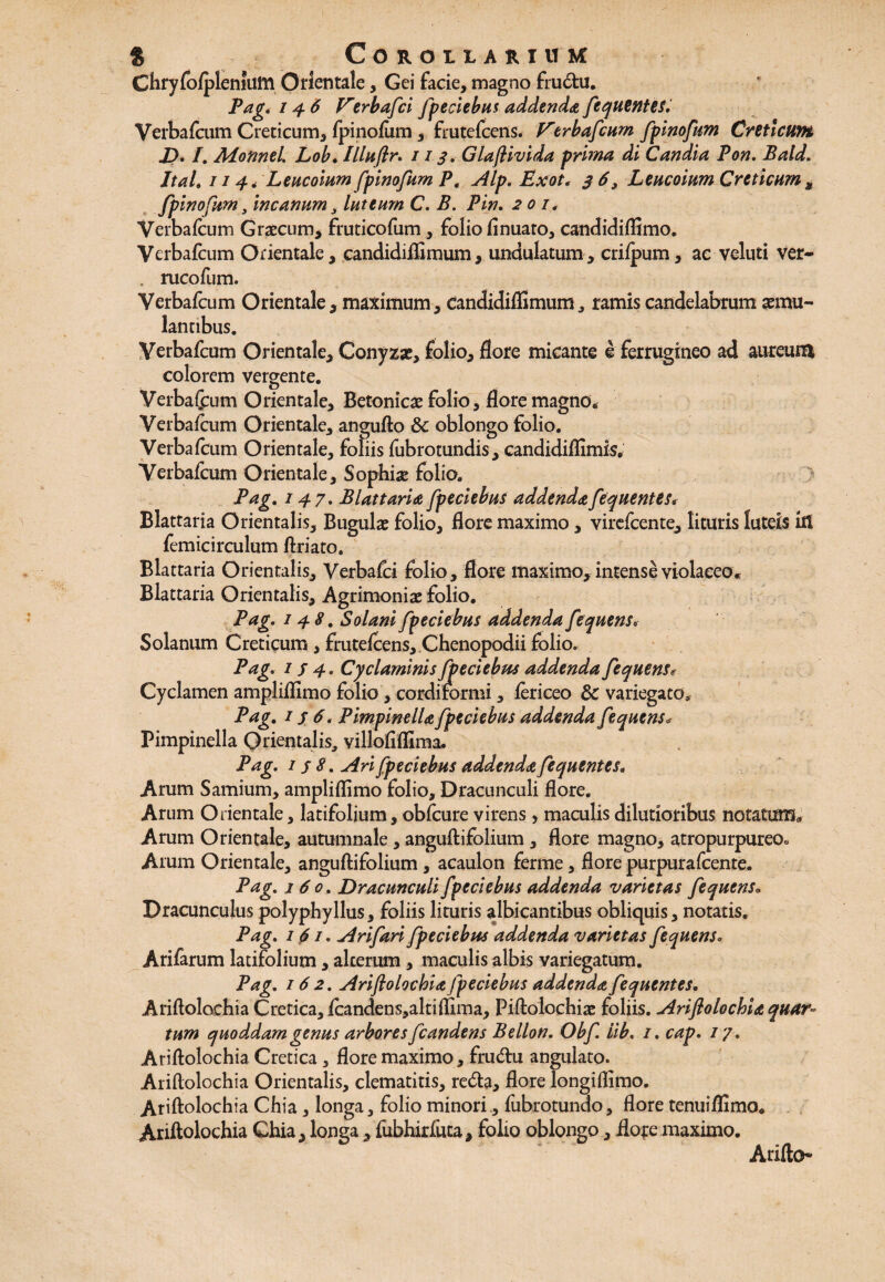 Chryfofpletilutn Orientale, Gei facie, magno fiudtu. Pag. 146 Verbafci fpeciebus addenda fequentes. Verbafciim Creticum, fpinofum, frutefcens. Vtrbafcum fpinofum Creticum 2). /. Monnel Lob. Illufir. / 1 3. Glaflivida prima di Candia Pon, Bald. JtaL 114< Leucoium fpinofum Pt Alp. Exot. 3 6, Leucoium CreticumM fpinofum, incanum s luteum C. B. Pin. 201. Verbafcum Graecum, frucicofum, folio finuato, candidiflimo. Verbafcum Orientale, candidiffimum, undulatum, crilpum, ac veluti ver- , rucofum. Verbafcum Orientale, maximum, candidiffimum, ramis candelabrum aemu¬ lantibus. Verbafcum Orientale, Conyzae, folio, flore micante e ferrugineo ad aureum colorem vergente. VerbaCcum Orientale, Betonicae folio, flore magno* Verbafcum Orientale, angufto 8c oblongo folio. Verbafcum Orientale, foliis fubrotundis, candidiflimis. Verbafcum Orientale, Sophiae folio. Pag- 147. Blattaria fpeciebus addendafequentes* Blattaria Orientalis, Bugulae folio, flore maximo , virefcente, lituris luteis in femicirculum ftriato. Blattaria Orientalis, Verbafci folio, flore maximo, intense violaceo* Blattaria Orientalis, Agrimoniae folio. Pag. 148. Solani fpeciebus addenda fequens. Solanum Creticum , frutefcens, Chenopodii folio. Pag. 1 f 4. Cyclaminis fpeciebus addenda fequens. Cyclamen ampliflimo folio, cordirormi, fericeo 8c variegato* Pag. 156. Pimpinella fpeciebus addenda fequens* Pimpinella Orientalis, villofiflima. Pag. 1 s 8. Ari fpeciebus addenda fequentes. Arum Samium, ampliflimo folio. Dracunculi flore. Arum Orientale, latifolium, obfcure virens , maculis dilutioribus notatum* Arum Orientale, autumnale , anguftifolium, flore magno, atropurpureo. Arum Orientale, anguftifolium, acaulon ferrne, flore purpurafcente. Pag. j 6 0. Dracunculi fpeciebus addenda varietas fequens. Dracunculus polyphyllus, foliis lituris albicantibus obliquis, notatis. Pag. 1$ 1. Ari fari fpeciebus addenda varietas fequens. Arifarum latifolium, alterum, maculis albis variegatum. Pag. 162. Ariflolochia fpeciebus addenda fequentes* Ariftolochia Cretica, fcandens,altiflima, Piftolochiae foliis. Ariflolochia quar¬ tum quoddam genus arbores fcandens Bellon. Obf iib. 1. cap. 17 . Ariftolochia Cretica, flore maximo, frudtu angulato. Ariftolochia Orientalis, clematitis, redla, flore longiflimo. Ariftolochia Chia , longa, folio minori, fubrotundo, flore tenuiflimo. Ariftolochia Chia, longa , fubhirfuta, folio oblongo, flore maximo. Arifto-