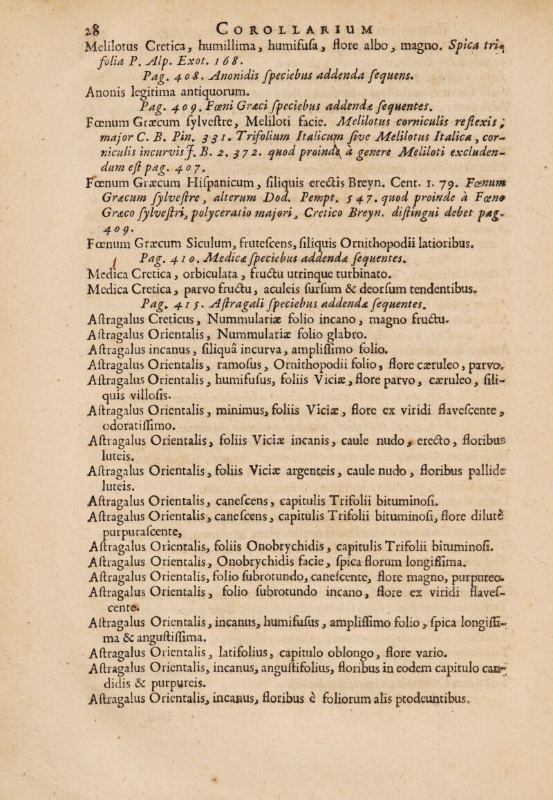 Melilotus Cretica, humillima, humifufa, flore albo, magno. Spica tri■* folia P. Alp. Exot. i 6 8. Pag. 4 o 8. Ano nidis fpeckbas addenda fequens• Anoms legitima antiquorum. 40 y. Poeni Graci fpeciebus addenda fequentes. Foenum Graecum fylveftre, Meliloti facie. Afelilotus corniculis reflexis; major C. A. Pin. 331* Trifolium It alicubi five Afelilotus Italica , ccr- niculis incurvis f. B. 2. ^72. proind\ d genere Afeliloti excluden¬ dum e fi pag. 407. Fcenum Graecum Hifpanicum, Aliquis eredis Breyn. Cent. 1. 79. Poenum Gracum fylvefire, alterum Dod. Pempt. 347 .quod proinde d Foenv Graco fylveftri, poly cerat io majori > Cretico Breyn, diftingui debet pag* 4 ° 9* F oenum Graecum Siculum, frutefcens, Aliquis Ornithopodii latioribus. | Pag. 410. Medica fpeciebus addenda fequentes„ Medica Cretica , orbiculata , frudlu utrinque turbinato. Medica Cretica, parvo frudhi, aculeis furfum Sc deorfum tendentibus* Pag. 4/ /. Aflragali fpeciebus addenda fequentes. Aftragalus Creticus * Nummulariae folio incano, magno frudhn Aftragalus Orientalis, Nummularia folio glabro. Aftragalus incanus, filiqua incurva, ampliffimo folio. Aftragalus Orientalis, ramofus, Ornithopodii folio, flore caeruleo, parvow Aftragalus Orientalis, humifufus, foliis V icis, flore parvo, caeruleo, fili- quis villo fis. Aftragalus Orientalis, minimus*foliis Viciae, flore ex viridi flavefeente^ odorati ffimo. Aftragalus Orientalis, foliis Vicis incanis, caule nudo, eredto, floribus luteis. Aftragalus Orientalis, foliis Viciae argenteis, caule nudo, floribus pallide luteis. , Aftragalus Orientalis, canefcens, capitulis Trifolii bituminofi. Aftragalus Orientalis,canefcens, capitulis Trifolii bituminofi, flore dilute purpurafeente, Aftragalus Orientalis, foliis Onobrychidis, capitulis Trifolii bituminofi. Aftragalus Orientalis, Onobrychidis facie, fpica florum longiflima. Aftragalus Orientalis, folio fubrotundo, canefcente, flore magno, purpureos Aftragalus Orientalis, folio fubrotundo incano, flore ex viridi flavef- cente. Aftragalus Orientalis, incanus, humifufus, ampliffimo folio , fpica longifE- ma Sc anguftilfima. Aftragalus Orientalis^ latifolius, capitulo oblongo, flore vario. Aftragalus Orientalis, incanus, anguftifolius, floribus in eodem capitulo can~ didis Sc purpureis. Aftragalus Orientalis, incanus, floribus e foliorum alis ptodeuntibus0