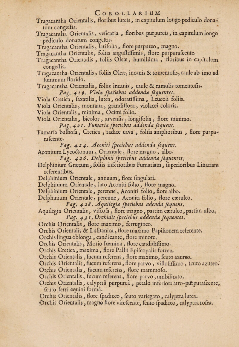 Tragacantha Orientalis * floribus luteis, in capitulum longo pediculo dona¬ tum congeftis. Tragacantha Orientalis, veficaria , floribus purpureis, in capitulum longo pediculo donatum congeftis. Tragacantha Orientalis, latifolia, flore purpureo, magno. Tragacantha Orientalis, foliis anguftiflimis, flore purpurafcente. Tragacantha Orientalis , foliis Oleae, humillima , floribus in capitulum congeftis. Tragacantha ^Orientalis j foliis Oleae, incanis 8c tomentofis, caule ab imo ad fummum florido. Tragacantha Orientalis, foliis incanis , caule Sc ramulis tomentcfis* Pag. 419. Viola fpeciebus addenda fequentes. Viola Cretica, faxatilis, lutea, odoratiflima , Leucoii foliis. Viola Orientalis, montana, grandiflora, violacei coloris. Viola Orientalis, minima, Ocimi folio. Viola Orientalis, bicolor, arvenfis, longifolia , flore minimo. Pag, 421. Fumaria fpeciebus addenda fequens. Fumaria bulbofa, Cretica , radice cava , foliis amplioribus , flore purpu* rafcente. Pag. 424. Aconiti fpeciebus addenda fequens. Aconitum Lycodonum , Orientale, flore magno , albo. Pag. 426. Delphinii fpeciebus addenda fequentes. Delphinium Graecum, foliis inferioribus Furnariam, fuperioribus Linariam referentibus. Delphinium Orientale, annuum, flore Angulari. Delphinium Orientale, lato Aconiti folio, flore magno. Delphinium Orientale, perenne, Aconiti folio, flore albo. Delphinium Orientale, perenne, Aconiti folio, flore caeruleo. Pag. 428. Aquilegia fpeciebus adenda fequens. Aquiiegia Orientalis, vifcofa, flore magno, partim caeruleo,partim albo. Pag. 431. Orchidis fpeciebus addenda fequentes. Orchis Orientalis, flore maximo, ferrugineo. Orchis Orientalis & Lufitanica, flore maximo Papilionem referente. Orchis lingua oblonga , candicante, flore minore. Orchis Orientalis, Morio foemina, flore candidiflimo. Orchis Cretica, maxima , flore Pallii Epifcopalis forma. Orchis Orientalis, fucum referens, flore maximo, fcuro azureo. Orchis Orientalis, fucum referens, flore parvo , villoflfllmo, fcuto azureo. Orchis Orientalis, fucum referens, flore mammofo. Orchis Orientalis, fucum referens, flore parvo,umbilicato. Orchis Orientalis, calyptra purpurea , petalo inferiori atro- fcuto ferri equini forma. Orchis Orientalis, flore fpadiceo, fcuto variegato, calyptra lutea. Orchis Orientalis, magne flore virefcente, fcuto ipadiceo, calyptra rofea. pifrpurafcente.