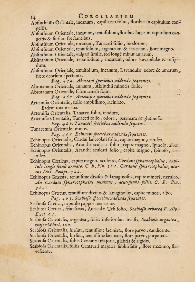 Abfinthium Orientale, incanum, capillaceo folio , floribus in capitulum coii- geftis, Abfinthium Orientale, incanum, tenuifolium,floribus luteis in capitulum com geftis & furfum fpe&antibus. Abfinthium Orientale, incanum, Tanaceti folio , inodorum. Abfinthium Orientale, tenuifolium, argenteum & fericeum , flore magno. Abfinthium Orientale, vulgari fimile, fed longe minus amarum. Abfinthium Orientale, tenuifolium , incanum, odore Lavandul# infipi- dum. Abfinthium Orientale, tenuifolium, incanum, Lavandulae odore & amarum flore deorfum fpe&ante. Pag. 4 5 9 • Abrotani fpeciebus addenda fecfiientes Abrotanum Orientale, annuum, Abfinthii minoris folio^ Abrotanum Orientale, Chamaemeli folio. Pa4 6 o. Artemifia /peclebas addenda fequentes Artemifia Orientalis, folio ampliflimo, kciniato. Eadem tota incana. Artemifia Orientalis, Tanaceti folio, inodora. Artemifia Orientalis, Tanaceti folio-, odora , peramara & glutinofiu. j Pag. 4 6i. Tanaceti /pedebas addenda fequens. Tanacetum Orientale, minus. Pag. 4 63. Echinopi/pedebasaddendafequentes. Echinopus Orientalis, Cardui lanceolati folio, capite magno,caeruleo. Echinopus Orientalis , Acanthi aculeati folio , capite magno , fpinofo, albo. Echinopus Orientalis, Acanthi aculeati folio , capite magno , fpinofo , cae¬ ruleo. Echinopus Creticus , capite magno, aculeato. Cardaas fpharocephalas, capi¬ tulo longis /pinis armato. C. B. Pin. 3 8 2. Cardaas fpharocephalas, acu— tas Dod, Pempt, 722,. Echinopus Graecus, tenuiflime divifus «Sc lanuginofus,, capite minori, caeruleo.. An Cardaas fpharocephalas minimus 3 acatijfimis foliis. C. B. Pin^ 382? Echinopus Graecus^tenuiflime divifus &c lanuginofus, capite minori, albo. Pag. 463. Scabiofa /pedebas addenda fequentes. Scabiofa Cretica, capitulo pappos mentiente. Scabiofa Cretica, frutefeens. Auriculae Urfi folio» Scabiofa arborea P. Alp- Exot 3 4. Scabiofa Orientalis, argentea , foliis inferioribus incifis- Scabiofa argentea major Wheel. Itin. Scabiofa Orientalis, hiriuta, tenuiflime laciniata, flore parvo, candicante. Scabiofa Orientalis, hirfuta, tenuiflime laciniata, flore parvo, purpureo. Scabiofa Orientalis, foliis Centaurii majoris, glabris & rigidis. Scabiofa Orientalis,.foliis Centaurii majoris fubhirfutis, flore maximo, ffc Yefcente.
