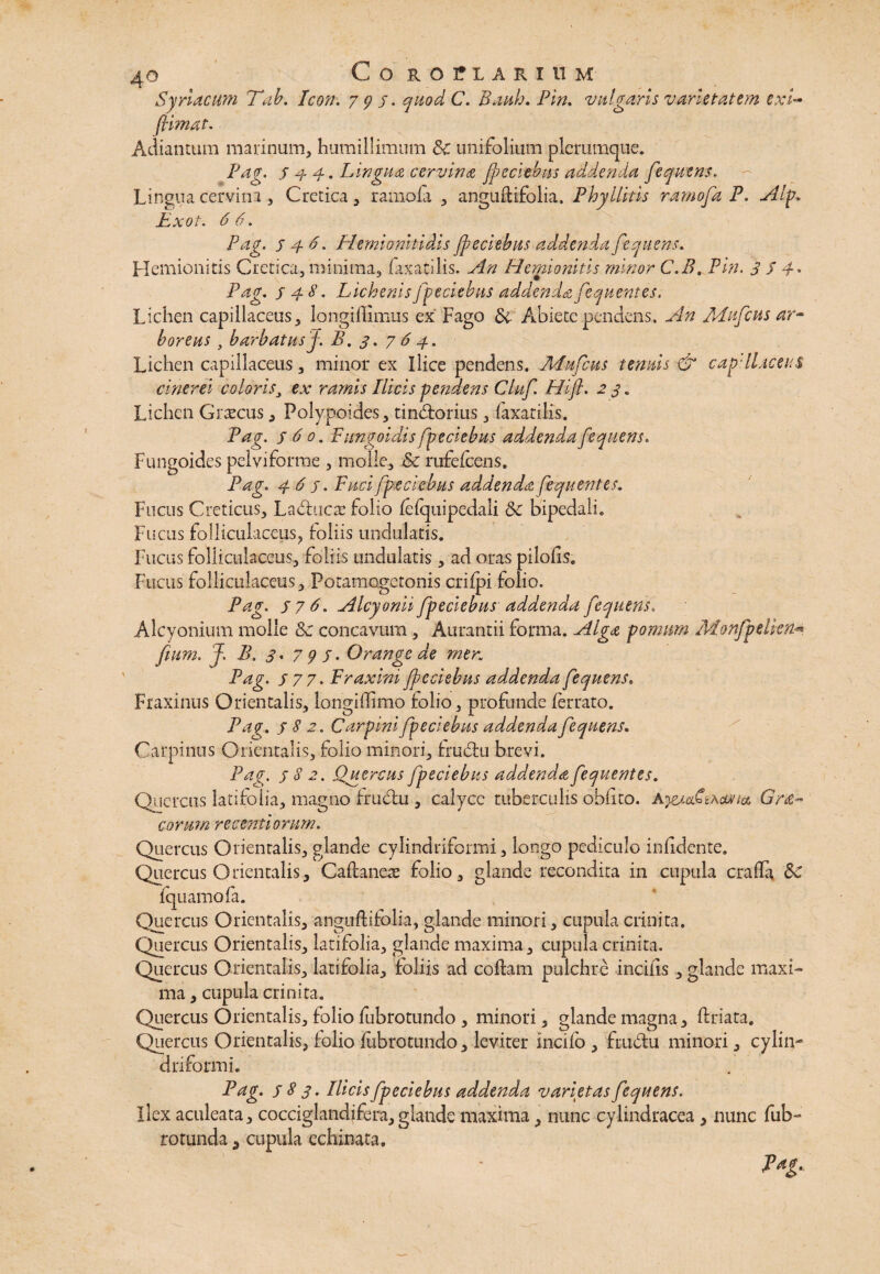 Syriacum Tab. Icon. 795. quodC. Bauli. Pin. vulgaris varietatem- exi- (limat. Adiantum marinum, humillimum & unifolium plerumque. Pag. 3 a- 4 • Lingua cervina fpeciebus addenda fequens. Lingua cervini, Cretica, ramofa , anguftifolia. Phyllitis ramofaP. Alp. Exot. 6 6. Pag. 546. Hemionitidis Jpeciebus addenda fe quem. Hemionitis Cretica, minima, faxatilis. An Hemionitis minor C.B. Pin. 3 S 4* Pag. S4^. LichenisJpeciebus addendafequentes. Lichen capillaceus, longiffimus ex Fago di- Abiete pendens. An ALufcus ar¬ boreus , barbatusf. B,3.764. Lichen capillaceus, minor ex Ilice pendens. Mufcus tenuis & capdiaceus cinerei coloris} ex ramis Ilicis pendens Cluf. Hifi. 23. Lichen Grxcus, Polypoides, tin&orius, faxatilis, Pag. 360. Fungoidis fpeciebus addenda fequens. Fungoides pelviforrae , molle, dc rufefcens. Pag. 463. Fuci fpeciebus addenda fequentes. Fucus Creticus, Ladlucae folio fefquipedali 6c bipedali. Fucus folliculaceus, loliis undulatis. Fucus folliculaceus, foliis undulatis, ad oras pilofis. Fucus folliculaceus, Potamogetonis crifpi folio. Pag. 376. Alcyonii fpeciebus addenda fequens. Alcyonium molle & concavum, Aurantii forma. Alga pomum Monfpelkn<* fium. J. B, 3. 7 9 3. Orange de mer. Pag. 3 7 7. Fraxini Jpeciebus addenda fequens, Fraxinus Orientalis, longiffimo folio, profunde ferrato. Pag. 382. Carpini fpeciebus addenda fequens. Carpinus Orientalis, folio minori, frublu brevi. Pag. 38 2. Ffuercus fpeciebus addenda fequentes. Quercus latifolia, magno fruehi, calycc tuberculis obfito. Ajeza&Acutta Gra¬ carum recenti orum. Quercus Orientalis, glande cylindriformi, longo pediculo infidente. Quercus Orientalis, Caftaneae folio, glande recondita in cupula cralLy dc fquamofa. Quercus Orientalis, anguflifolia, glande minori, cupula crinita. Quercus Orientalis, latifolia, glande maxima, cupula crinita. Quercus Orientalis, latifolia, foliis ad coflam pulchre incilis, glande maxi¬ ma , cupula crinita. Quercus Orientalis, folio fubrotundo , minori, glande magna, flriata. Quercus Orientalis, folio fubrotundo, leviter incifo , frubtu minori, cylin¬ driformi. Pag. 3 ^ 3. Ilicis fpeciebus addenda 'varietas fequens. Ilex aculeata, cocciglandifera, glande maxima, nunc cylindracea, nunc fub- rotunda, cupula echinata. Tng.