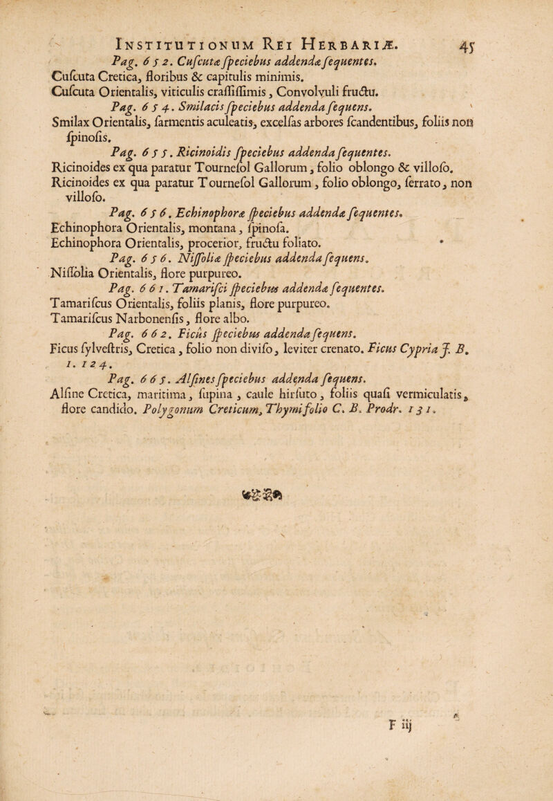 Pag. 652. Cufcuta fpeciebus addendafequentes. Cufcuta Cretica, floribus &c capitulis minimis. Cufcuta Orientalis, viticulis crafliflimis, Convolvuli frudtu. Pag. 654.. Smilacis fpeciebus addenda fequens. v Smilax Orientalis, farmentis aculeatis, excellas arbores fcandentibus, foliis non t Pag. 6 j s. Ricinoidis fpeciebus addenda fequentes. Ricinoides ex qua paratur Tournefol Gallorum, folio oblongo & villolo. Ricinoides ex qua paratur Tournefol Gallorum, folio oblongo, ferrato, non villofo. Pag. 6 s 6. Echinophora fpeciebus addenda fequentes• Echinophora Orientalis, montana, fpinofa. Echinophora Orientalis, procerior, fru&u foliato. Pag. 656. Nijfolia fpeciebus addenda fequens» Niflblia Orientalis, flore purpureo. Pag. 6 61. Tamarifci jpeciebus addenda fequentes. Tamarifcus Orientalis, foliis planis, flore purpureo. Tamarifcus Narbonenlis, flore albo. Pag. 662. Ficus Jpeciebus addenda fequens. Ficus fylveftris, Cretica, folio non divifo, leviter crenato. Ficus Cypria J. B. 1. 124, Pag. 6 6 s. AI fines fpeciebus addenda fequens. Alline Cretica, maritima, fupina , caule hirfuto, foliis quali vermiculatish flore candido. Polygonum Creticum^Thymifolio C. B> Prodr. 141, * F* € ' U) Vtjv .»•
