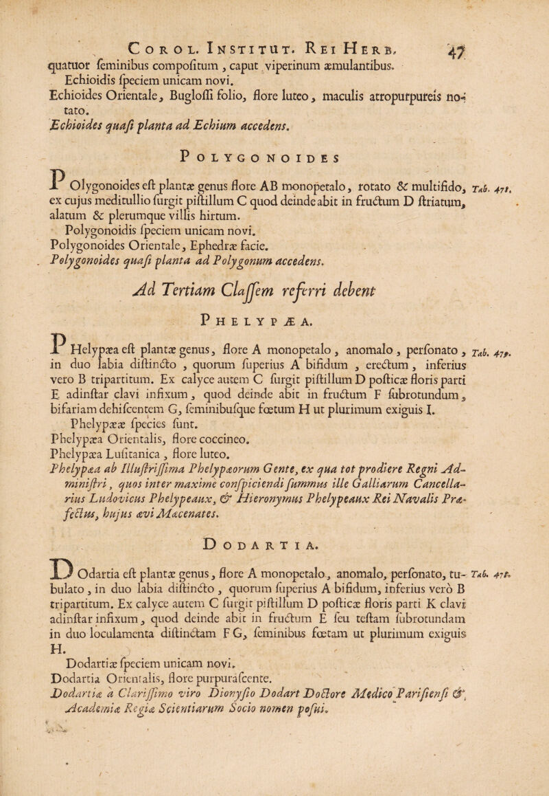 41 Coroi, Institut. Rex Herb, quatuor feminibus compofitum , caput viperinum aemulantibus» Echioidis fpeciem unicam novi. Echioides Orientale, Buglofli folio, flore luteo, maculis atropurpureis no-? tato. Echioides qua fi flant a ad E chiam accedens. POLYGONOXDES P Olygonoides eft planta genus flore AB monopetalo, rotato Sc multifido, T<t&. 47 ex cujus meditullio furgit piftillum C quod deinde abit in frudum D feriatum, alatum & plerumque villis hirtum. Polygonoidis fpeciem unicam novi. Polygonoides Orientale, Ephedrjt facie. Polygonoides quafi -planta ad Polygonum accedens. Ad Tertiam Clajfem referri debent P H E L Y P i A, P Helypteaeft plantae genus, flore A monopetalo , anomalo , perfonato , xab. 47 in duo labia diftindo , quorum fuperius A bifidum , eredum , inferius vero B tripartitum. Ex calyce aurem C furgit piftillum D pofticae Roris parti E adinfear clavi infixum, quod deinde abit in frudum F fubrotundum, bifariam dehifcentem G, feminibufque foetum H ut plurimum exiguis I. Phelypaeas fpecies funt. Phelypaea Orientalis, flore coccineo. Phelypaea Lufitanica , flore luteo. Phelypaa ab Illuflrijfima Phelypaorum Gente, ex qua tot prodiere Regni Ad- miniftri, quos inter maxime confpiciendi fummns ille Galliarum Cancella¬ rius Ludovicus Phelypeaux, & Hieronymus Phelypeaux Rei Navalis Pra> feffus, hujus avi Mac enates. \ Dodartxa» D Odartia eft plantae genus, flore A monopetalo, anomalo, perfonato, tu- 47?» bulato , in duo labia diftindo , quorum fuperius A bifidum, inferius vero B tripartitum. Ex calyce autem C furgit piftillum D pofticae floris parti K clavi adinftar infixum, quod deinde abit in frudum E feu teftam fiibrotundam in duo loculamenta diftindam F G, feminibus foetam ut plurimum exiguis H. Dodartise fpeciem unicam novi, Dodartia Orientalis, flore purpurafcente. Dodartice a Clarijfimo viro Dioryfio Dodart T) odior e Aledico Parifienfi Academia Regia Scientiarum Socio nomen pofuL