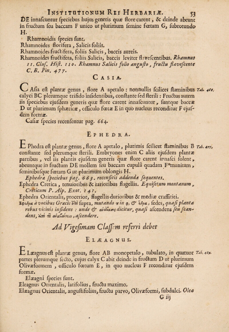DE innafcuntur fpeciebus hujus generis quae flore carent, Sc deinde abeunt in frudum feu baccam F unico ut plurimum femine foetam Ga fubrotund^ H. Rhamnoidis fpecies funt. Rhamnoides florifera , Salicis foliis. Rhamnoides frudifera, foliis Salicis, baccis aureis. Rhamnoides frudifera, foliis Salicis, baccis leviter flavefeentibus. Rhamnus 11. Glufi Hifl, 11 o * Rhamnus Salicis folio anguflo , frutlu fla vefc ente C. £, Pin9 4 7 7. Casia, CZ> Afia eft plantas genus , flore A apetalo : nonnullis fcilicet flaminibus Td. 41#* calyci BC plerumque trifido inftdentibus, conflante fcd fterili: Frudus autem iis fpeciebus ejufdem generis qua? flore carent innafeuntur , funtque baceas D ut plurimum fplmicse, oftkulo foetas E in quo nucleus reconditur F ejuf¬ dem formae. Caflae fpecies recenfentur pag. 664. E P H E D R A, E Fhedra eft plantae genus, flore A apetalo , plurimis fcilicet flaminibus B Td<4ff* conflante fed plerumque fterili. Embryones enim C aliis ejufdem plantte partibus , vel iis plantis ejufdem generis quae flore carent innafei fblent* abeuntque in frudum DE mollem feu baccam cupula quadam Emaunitam > feminibufque foetam G ut plurimum oblongis H. Ephedra fpeciebus pag. 6 6 3 < recenfltis addenda fequentes. Ephedra Cretica, tenuioribus 8c rarioribus flagellis. Equifetum montanum * Creticum P.^Alp. Exot. 141, Ephedra Orientalis, procerior, flagellis durioribus Sc mediae craflitiei. d vocibus GracisM fupra* mutando nin qua fi planta rebus vicinis infidens : unde & wcLQwq dicitur, qua fi afeendens feufcan~ denSj^hd w oLvctdaivuv y afeendere. jid yigejimdm Euagnus. ELaeagnuseft plantae genus, flore AB monopetalo , tubulato, in quatuoi* Td. partes plerumque fedo, cujus calyx C abit deinde in frudum D ut plurimum Olivaeformem , ofliculo foetum £, in quo nucleus F reconditur ejufdem formae. Elaeagni fpecies funt. Eleagnus Orientalis, latifolius, frudu maximo. Elasagnus Orientalis, anguftifolius, frudu parvo,, Oliv^formi, fubdulci. Olea G iij
