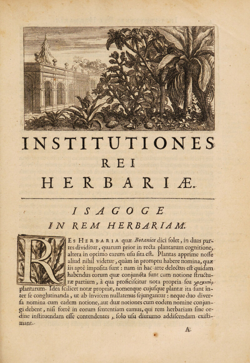 HERBARII. / S A G O G IN REM HER BJR IA Mi Es Hei bariA quaz Botanice dici folet * in duas pat¬ res dividitur* quarum prior in reda plantarum cognitione^ altera in optimo earum ufu lita eft. Plantas apprime nolle aliud nihil videtur * quam in promptu habere nomina* quae iis apte impolita funt: nam in hac arte deledus ed: quidam habendus eorum quae conjunda funt cum notione ftrudu- __ rae partium * a qua proficifcitur nota propria feu plantarum. I3ea fcilicet notae propriae* nomenque cujufque plantae ita funt in¬ ter fc conglutinanda, ut ab invicem nullatenus fejungantur : neque duo diver- fa nomina cum eadem notione* aut duae notiones cum eodem nomine conjun¬ gi debent * nili forte in eorum fententiam eamus* qui rem herbariam line or¬ dine inliituendam elfe contendentes ^.folo ufu diuturno addifcendam exidi- mant.»