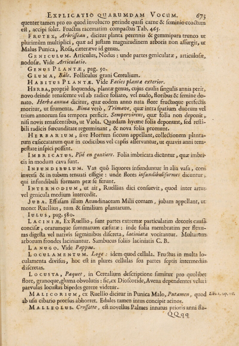 Explicatio quarumdam Vocum. 675 quenter tamen pro eo quod involucro perinde quafi carne & feminio coactum di, accipi folet. Frudusracematim compa&us Tab. 465. Frutex, Arbrijfeau3 dicitur planta perennis 6c gemmipara trunco ut plurimum multiplici, quae ad juftam magnitudinem amoris non aflurgit, ut Malus Punica, Rofa, caeteraeve id genus. Geniculum. Articulus, Nodus: unde partes geniculatae, articiilqfx*. nodofae. Vide Articulatio. G E N U S P L A N T ^ , pag. 50. Gluma, Bdle. Folliculus grani Cerealium. Habitus Pl a n t j£. Vide Facies -pianta exterior. H e rb A, proprie loquendo, plantae genus, cujus caulis lingulis annis perit, novo deinde rena Icente vel ab radice foliato, vel nudo, floribus tk femine do¬ nato. Herba annua dicitur, quae eodem anno nata flore frudtuque perfe&is moritur, ut frumenta. Bimaycio, Trimave, quae intra fpatium duorum vel trium annorum fua tempora perficit. Sempervirens, quae folia non deponit ,, nili novis renafcentibus, ut Viola. Quaedam hyeme folia deponunt, fe a refti- bili radicis foecunditate regerminant, 8c nova folia promunt. Herbarium, live Hortum ficcumappellant,colle&ionem planta¬ rum exficcatarum quae in codicibus vel capfis aflervantur, ut quavis anni tem- peftate infpici pofiint. Imbricatus. F\ii en goittiere> Folia imbricata dicantur, quae imbri¬ cis in modum cava funt. Iniundibblum, Vas qub liquores infunduntur in alia vafa, coni inverfi Sc in tubum tenuati elfigie : unde flores infundibuliformes dicuntur, qui infundibuli formam prae fe ferunt. Internodium, ut ait, Ruellius dici confuevit, quod inter artus- vel genicula medium intercedit. Juba. Effutfam illam Arundinaceam Milii comam, jubam appellant, ut monet Ruellius, tum 5c fimilium plantarum. Iulus, pag. 580. Lacini m. Ex Ruellio 5 fiint partes extremae particulatim decoris cauli concifae, orarumque fummarum caefune: inde folia membratim per flexu¬ ras digefta vel nativis fegminibus difcreta, laciniata vocitantur. Multarttnii arborum frondes laciniantur. Sambucus foliis ladniatis C. B. Lanugo. Vide Pappus. Loculamentum. Loge : idem quod cellula. FruShis in multa lo- . culamenta divifus, hoc eft in plures cellulas feu partes feptis intermediis, difcretas. Locusta, Paquet3 in Cerealium defcriptione fumitur pro quolibet flore, granoque,g!uma obvolutis: fic,ex Diofcoride, Avena dependentes veluti parvulas locuflas bipedes gerere videtur. Mali corium, ex Ruellio dicitur in Punica Malo, Putamen, quod ^ cap.uti ab ufu cibario prorfus abhorret. Edules tamen intus concipit acinos. Malleolus. Croffstte 3 eft novellus Palmes innatus prioris anni fla- \ . 'Q&m: