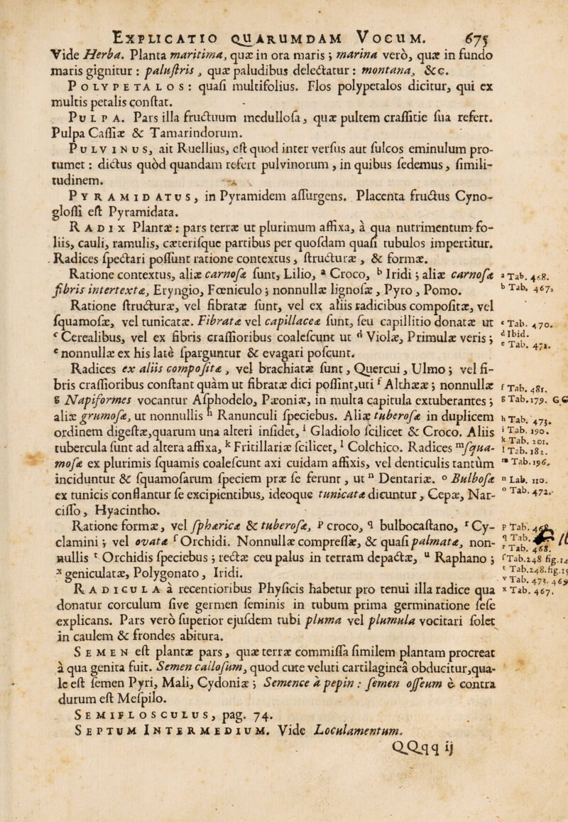 Vide Herba. Planta maritima3 quasiti ora maris > marina vero, quae in fundo maris gignitur : paluftris , qux paludibus deledatur : montana3 Scc, Polypetalos: quafi multifolius. Flos polypetalos dicitur, qui ex multis petalis confiat. Pulpa. Pars illa fruduum medullofa, quae pultem craflitie fua refert. Pulpa Caffias & Tamarindorum. Pulvinus, ait Ruellius, eft quod inter verfus aut fulcos eminulum pro» tumet: didus quod quandam refert pulvinorum , in quibus fedemus, Simili¬ tudinem. ■-% .. Pyramidatus, in Pyramidem afliirgens. Placenta frudus Cyno- gloffi eft Pyramidata. Radix Plantae: pars terrae ut plurimum affixa, a qua nutrimentum-fo¬ liis, cauli, ramulis, cascerifquc partibus per quofdam quan tubulos impertitur. . Radices fpedari poffimt ratione contextus, ftrudurae, 8c formae. Ratione contextus, aliae carnofa funt, Lilio, a Croco, b Iridi, aliae carnofa a Tab. 4*8. fibris intertexta3 Eryngio, Foeniculo j nonnullae lignofae, Pyro, Pomo. b Tab> 467» Ratione ftrudurae, vel fibrata funt, vel ex aliis radicibus compofitae, vel fquamofae, vel tunicatae. Fibrata vel capillacea funt, feu capillitio donatas ut «Tab. 47o» c Cerealibus, vel ex fibris craffioribus coalefcunt ut d Violas, Primulae veris *, € nonnulla: ex his lat^ fparguntur & evagari pofcunt. Radices ex aliis campo fit a , vel brachiatae funt, Quercui, Ulmo; vel fi¬ bris craffioribus confiant quam ut fibratas dici poffinr,utif Althaeae} nonnullae f Tab. 4gx. § Napiformes vocantur Afphodelo, Paeonia?, in multa capitula extuberantes} sTab.i7$. gc aliae grumofa, ut nonnullis b Ranunculi Speciebus. Aliae tuberofa in duplicem hTab. 47j4 ordinem digefiae,quarum una alteri infidet,1 Gladiolo Scilicet & Croco. Aliis j^ab. tubercula funt ad altera affixa,k Fritillariae fcilicet,1 Colchico. Radices mfqua- i TaWiV? ’ mofa ex plurimis fquamis coalefcunt axi cuidam affixis, vel denticulis tantum inciduntur Sc fquamofarum fpeciem prx fe ferunt, utn Dentariae. ° Bulbofa »Lab. no. ex tunicis condantur fe excipientibus, ideoque tunicata dicuntur , Cepae, Nar- °Tab'472i' cifib, Hyacintho. - Ratione formae, vel fipharica & tuberofa, P croco, ^ bulbocaftano, rCy- pTab;4&g^ clamini v vel ovata fOrchidi. Nonnullae compreftae, Sc quafi palmata, non- /i nullis c Orchidis fpeciebus j redae ceu palus in terram depadae, u Raphano j rTab.i4g fig.u s geniculatae, Polygonato, Iridi. 148,flggIf Radicula a recentioribus Phyficis habetur pro tenui illa radice qua x Tab. 4e7? donatur corculum five germen feminis in tubum prima germinatione lefe explicans. Pars vero fuperior ejufdem tubi pluma vel plumula vocitari folet in caulem &c frondes abitura. Semen eft plantae pars, quae terrae eommifla fimilem plantam procreat a qua genita fuit. Semen callofum3 quod cute veluti cartilaginea obducitur,qua- le eft femen Pyri, Mali, Cydoniae j Semence apepin: femen ojfeum b contra durum eft Meipilo. Semiflosculus, pag. 74. Septum Intermedium. Vide Loculamentum, QAq q n