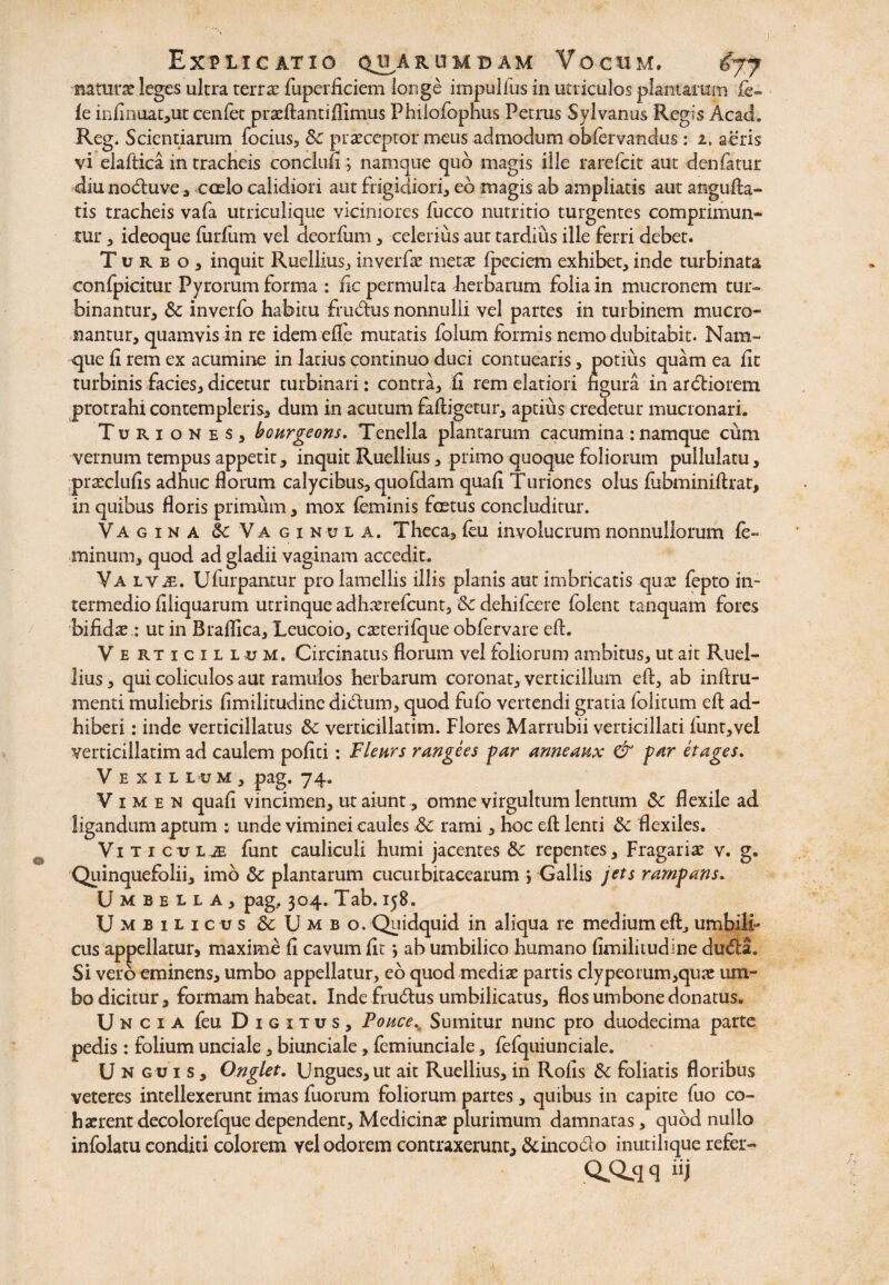 Explicatio quarumdam Vocum. €jy •naturae leges ultra terrae fuperficiem longe impulfus in utriculos plantarum fe¬ le infinuat,ur cenfet praeftantiflimus Philofophus Petrus Sylvanus Regis Acati. Reg. Scientiarum focius, Sc praeceptor meus admodum obfervandus: 2. aeris vi elaftica in tracheis conclufi ; namque quo magis ille rarefcit aut denfatur diu nodluve , coelo calidiori aut frigidiori, ed magis ab ampliatis aut angufta- tis tracheis vafa utriculique viciniores fucco nutritio turgentes comprimun¬ tur , ideoque finium vel deorfum, celerius aut tardius ille ferri debet. Turbo, inquit Ruellius, inverfae metae fpcciem exhibet, inde turbinata confpicitur Pyrorum forma : fic permulta herbarum folia in mucronem tur~ binantur, &: inverfo habitu frudfus nonnulli vel partes in turbinem mucro- nantur, quamvis in re idemelle mutatis folum formis nemo dubitabit. Nam¬ que fi rem ex acumine in latius continuo duci contuearis, potius quam ea fit turbinis facies, dicetur turbinati: contra, fi rem elatiori figura in ardiorem protrahi contempleris, dum in acutum fafiigetur, aptius credetur mucronari. Turiones, bourgeons. Tenella plantarum cacumina : namque cum vernum tempus appetit, inquit Ruellius, primo quoque foliorum pullulatu, praeclufis adhuc florum calycibus, quofdam quafi Turiones olus fubminiftrat, in quibus floris primum, mox feminis fretus concluditur. Vagina & Vaginula. Theca, feu involucrum nonnullorum fe¬ minum, quod ad gladii vaginam accedit. Va LViE. Ufurpantur pro lamellis illis planis aut imbricatis quae fepto in¬ termedio filiquarum utrinque adh.Trefcunt, &£ dehifcere folent tanquam fores bifidae : ut in Btaflica, Leucoio, caeterifque obfervare efl:. Verticillum. Circinatus florum vel foliorum ambitus, ut ait Ruel¬ lius , qui coliculos aut ramulos herbarum coronat, verticillum eft, ab inftm- menti muliebris fimilitudine didum, quod fufo vertendi gratia folitum eft ad¬ hiberi : inde verticillatus &: verticillatim. Flores Marrubii verticillati funt,vel verticillatim ad caulem pofiti: Flear s rangees par armeanx & par et ages. Vexillum, pag. 74. Vimen quafi vincimen, ut aiunt , omne virgultum lentum Sc flexile ad ligandum aptum •, unde viminei caules Sc rami, hoc efl; lenti 8c flexiles. Viticulje funt cauliculi humi jacentes &: repentes, Fragariae v. g. Quinquefolii, imo 8c plantarum cucurbitacearum > Gallis jtts rampans. Umbella, pag, 304. Tab. 158. Umbilicus & U m b o. Quidquid in aliqua re medium eft., umbili¬ cus appellatur, maxime fi cavum fit > ab umbilico humano fimilitudine duda. Si vero eminens, umbo appellatur, eo quod mediae partis clypeorum,quae um¬ bo dicitur, formam habeat. Inde fmdus umbilicatus, flos umbone donatus. U N c 1 A feu Digitus, Foace. Sumitur nunc pro duodecima parte pedis: folium unciale, biunciale, fcmiunciale, fefquiunciale. U n gui s, Onglet. Ungues,ut ait Ruellius, in Rofis 8c foliatis floribus veteres intellexerunt imas fuorum foliorum partes, quibus in capite fuo co¬ haerent decolorefquedependent. Medicinae plurimum damnatas, quod nullo infolatu conditi colorem yel odorem contraxerunt, &inco£io inutihque refer-