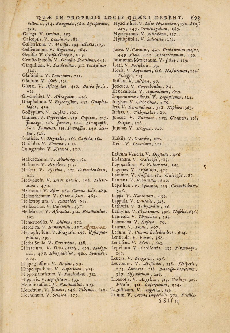 ralloidej, $64. Fungoides, $6o. Lycoperdon, Hyacinthus. V. Lilio-Hyacinthus, 372. Mnf- 563. cvm, 347. Ornithogalum, 380. Galega. V. Orobus , 373. Hyofcyamus. V. Nicotiana , 117. Galeopfis. V. Lamium, 183. Hyflopifolia. V. Salicarta , 153. Gallitricum. V. Meliffa, 193. ScUrea,iyy. Gelfeminum. V. Bignonia, 164. Jacea. V. Carduus, 441. Centaurium majus, Genifia. V. Cytifo-Genifia, 649. 449- Viola, 410. Xeranthemum , 479. Genifia fpinofa. V. Genifia- S partium, 645. Gingidium. V. Foeniculum, 311. Tordyltum, 310. Glafiifolia. y. Leucoium, 221. Glafium. V. Ifatis, 211. Glaux. V. Afiragalus , 416. Barba Jovis , 651. Glycirrhiza. V. Afiragalus, 416. Gnaphalium. V. Elychryfum, 4$2. Gnapha- lodes, 439. Goflypium. V. Xylon , 100. Gramen. V. Cyperoides, $19. Cyperus, 517. Juncago, z66. Juncus, 246. Linagroftis, 664. Panicum, $i$. Parnajfia, 146. 5Y/Y- p*#, $28. Gratiola. y. Digitalis , 164. Cajfida, 182. Guillobo. V. Ketmia , ico. Guingombo. y. Ketmia , 100. Halicacabum, V. Alkekengi, i$i. Halimus. y. Atriplex, 50$. Hedera. V* Afarina , 171. Toxicodendron, 6II. Hedypnois. V. Leonis ,468. Hiera- cium, 470. Helenium, y. Afier,483. Corona Solis, 489. Helianthemum. y. Corona Solis, 489. Heliotropium. V. Ricinoides, 6f$. Helleborine. y. Calceolus ,437. Hdleborus. y. AJirantia, 314. Ranunculus, 191. Hemerocallis. V. Lilium, 371* Hepatica. V. Ranunculus, z%7 .c&parf&ej’ Beptaphyllum. V. Fragaria, 196. Quinque- folium, z97, Herba Stella. V. Coronopus , 128. Hieracium. y. Leonis , 468. Hedyp¬ nois, 478. Rhagadiolus , 480. Sonchus , 474- Hippogloflum. V. Rufcus, 79. Hippolapathum. V. Lapathum , £04. Hippomarathrum. V. Foeniculum , 311. Hippuris. V. Equifetum , 533. Holoftio affinis. V. Ranunculus, 293. Bolofiium. V. Juncus, 246. Filicula, 542. Horminum. V. Sclarea , 179. Jafminum Mexicanum. V. Jif/ap , 129. Ibati. y. Periploca , 93. Iberis. V. Lepidium, zi6, Nafiurtium, 214. Thlajpi, 213. Ibifcus. y. Alih&a, 97. Jeticucu. y. Convolvulus, 84. Ilex aculeata, y. Aquifolium, 600. Imperatoria affinis, y. Ligufiicum, 324.1 Intybus, y. Cichorium, 479. , Iris. y. B er mu di ana , 388. Xiphion, 363. Ifchas. y. Tithymalus, 87. Juncus, y. Butomus, 271. Gramen, 518^ Scirpus, 328. Jujubte. y. Ziyipha , 6Z7. Kakile. y. Crambe , 212. Keiri. y. Leucoium, zzi. \ Labrum y eneris. V. Dipfacus, 4 66. Ladanum. V. Galeopfts, 18$. Lagopodium. V. Vulneraria , 391. Lagopus. y. Trifolium, 407. Lamium, y. Cajfida, 182. Galeopfis , 18$. Lantana. y. Viburnum , 607. Lapathum. V. Spinacia, 533. Chenopodium* $06. Lappa. V. Xanthium , 439. Lappula. y. Caucalis , 323. Lathyris, y. Tithymalus , 86. Lathyrus. y. Clymenum, 396. Nijjolia, 6$6» Laureola, V ThymeUa , 59$. Laurotaxa. V. Rufcus , 79. Laurus, V. , 607. Ledum. V. Cham&rhododendros , 604. Lenticula. V. Fucus , $68. Lentifcus. V. Molle , 661. Lepidium. V. Cochlearia , 215. Plumbago 141. Leucas. V. Fragaria , 296. Leucoium. y. Alyjfoides , 218. Hefperis , 273. Luna ria , 218. Na rcijfo- Leucoium » 387. Sifymbrium , 226. Libanotis. V. Angelica , 313. Cachrys, 32$» Ferula , 321. Laferpitium , 324. Ligufiicum. y. Angelica , 313. Lilium, y. Corona Imperialis, 372. Fritilla, S S 1 f iij