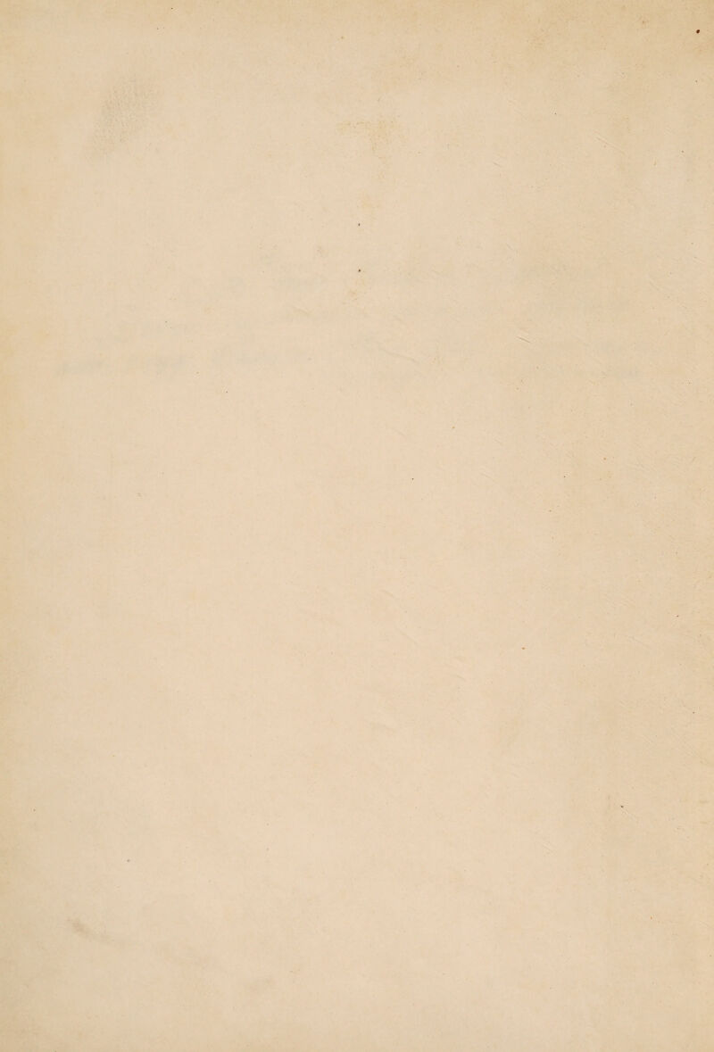 V..- ■ . ■ ' ■' : - ' ^ • ' . , • . • ■ • • - * ■ ■ ■ v . ■ : , •' . ■ ■ ' ' ' ■' 1 ’ V . ' . J . ' ' ■ ‘ - i ■