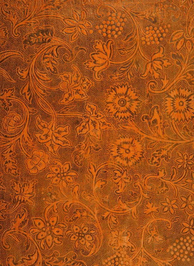 No text description is available for this image